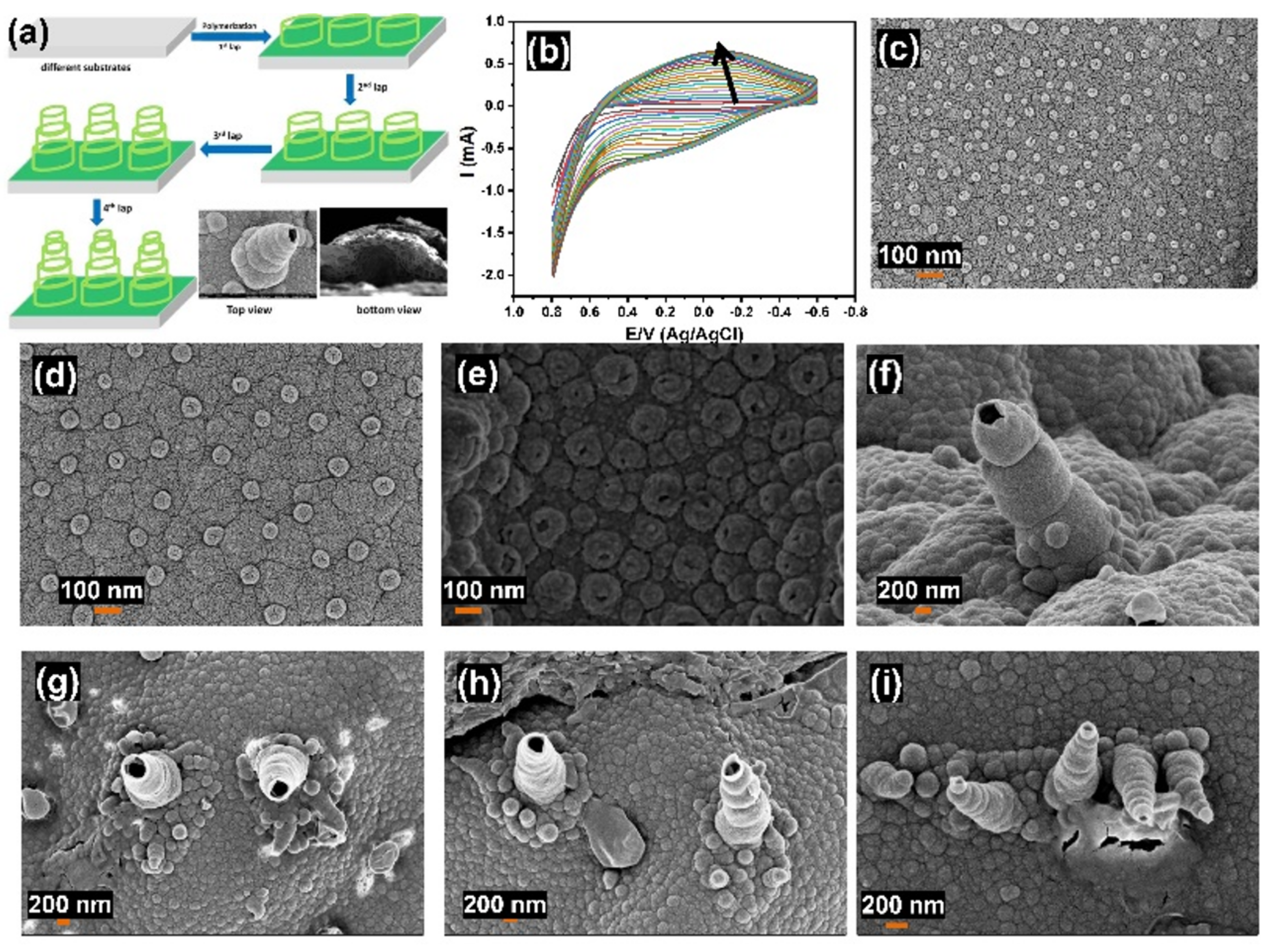 Polymers 14 00183 g001