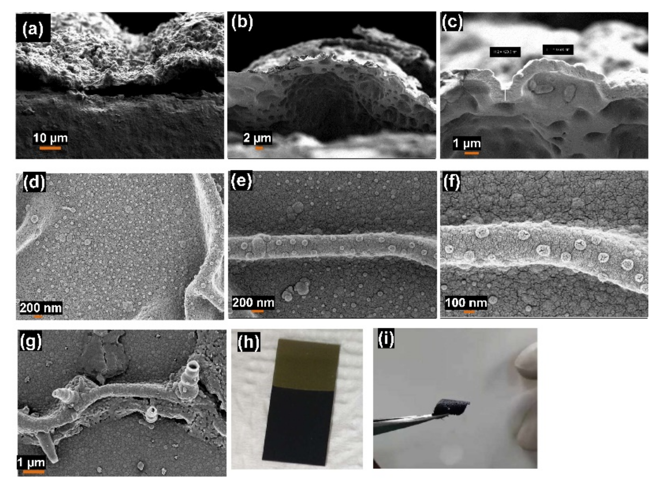 Polymers 14 00183 g002