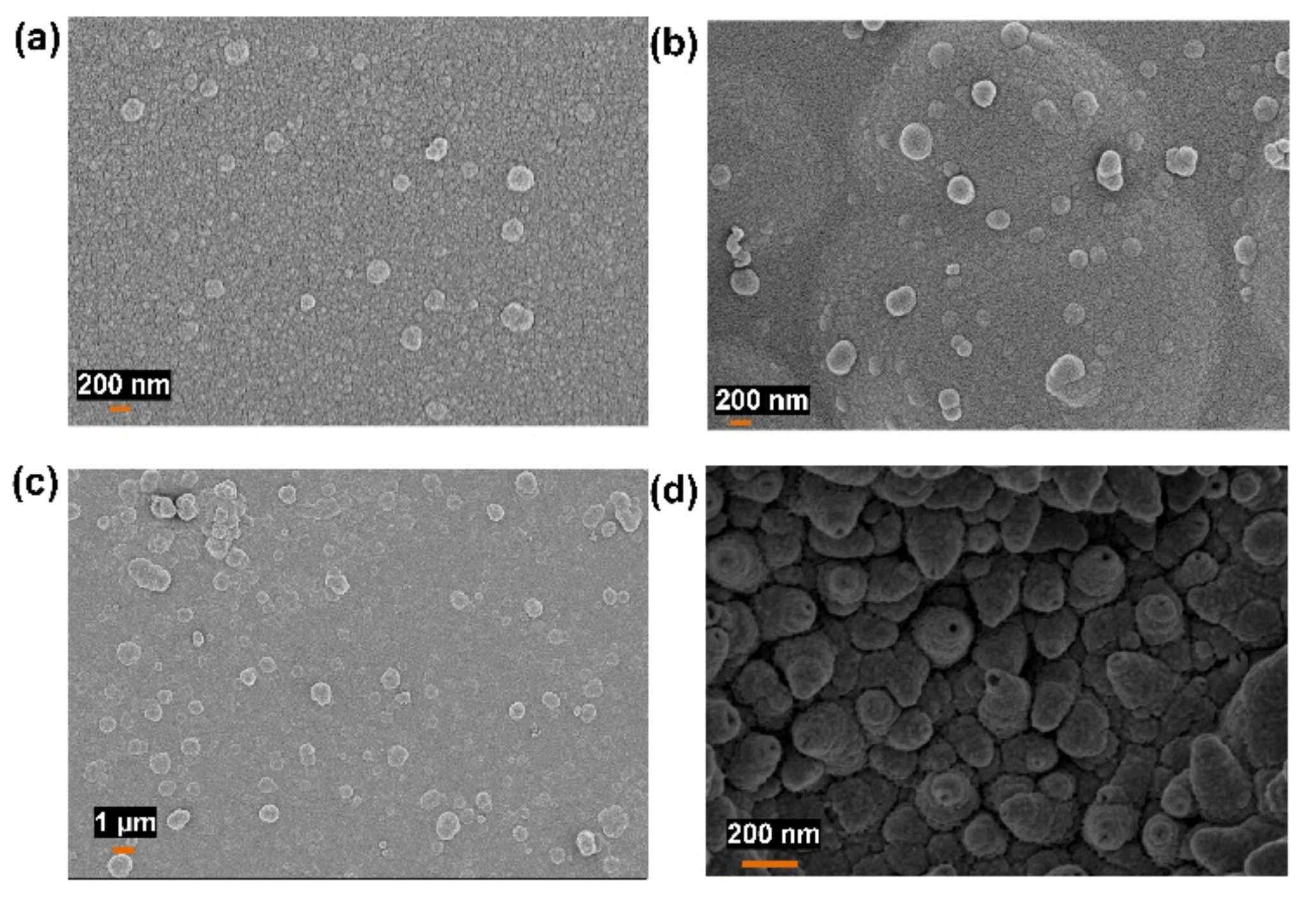Polymers 14 00183 g004