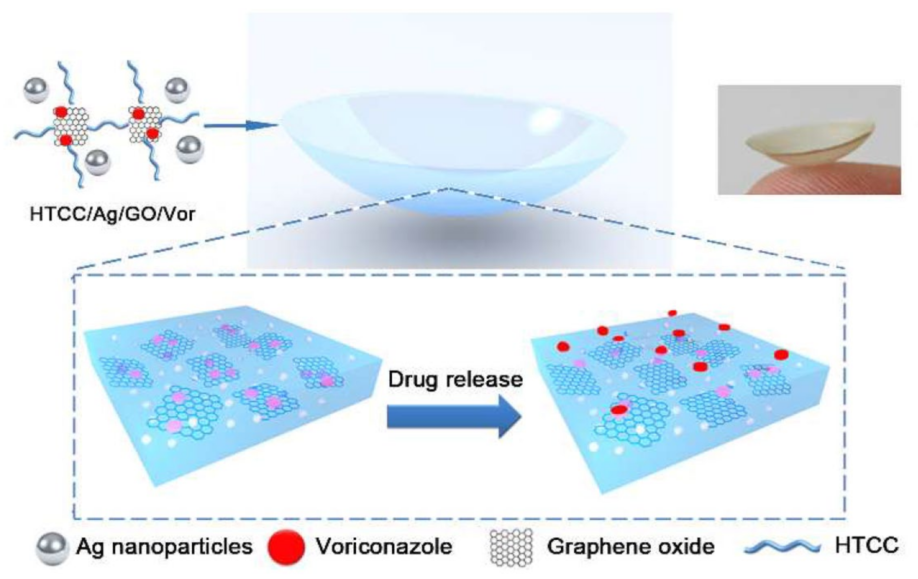 Polymers 14 00185 g004 Polymers 14 00185 g004