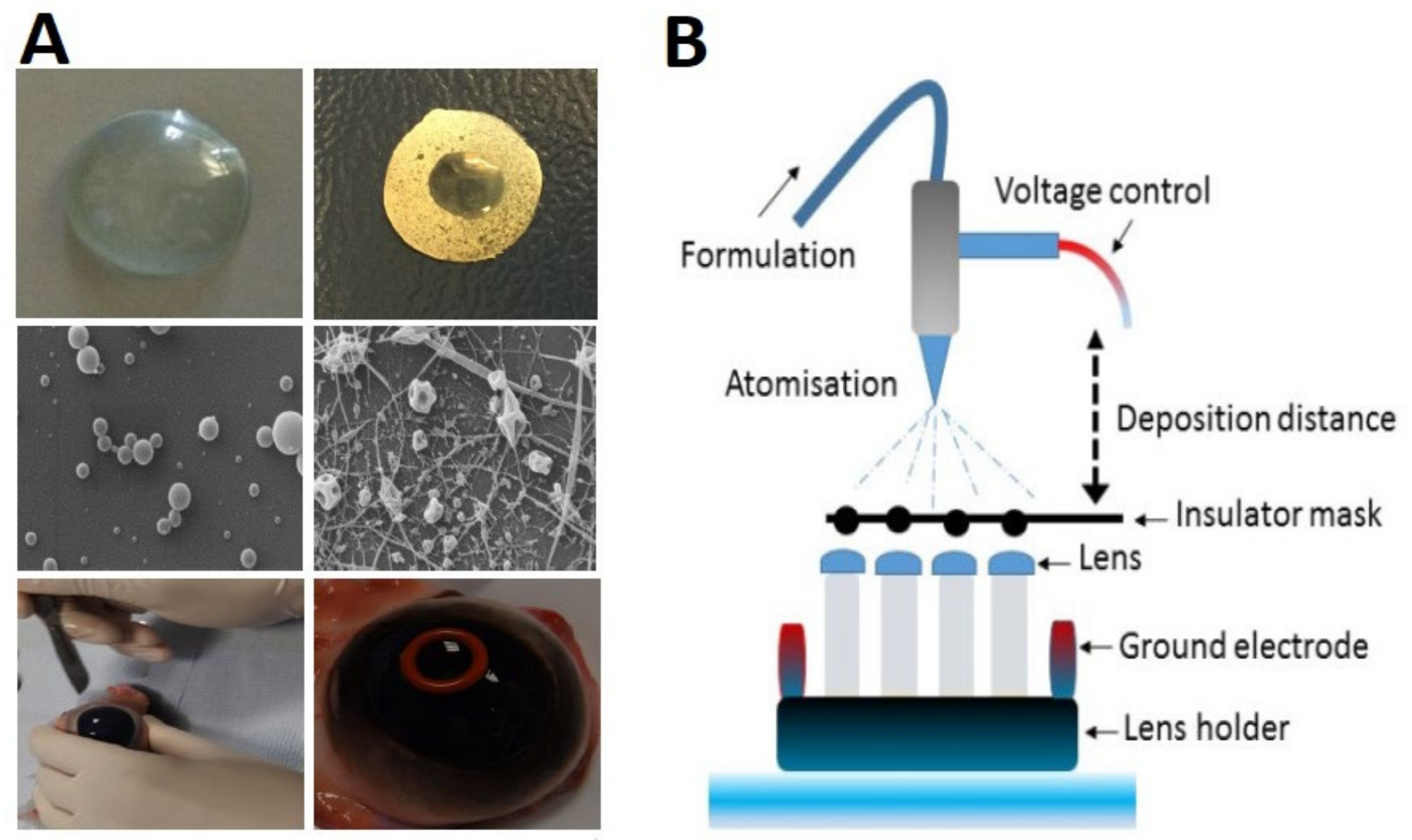 Polymers 14 00185 g006 Polymers 14 00185 g006