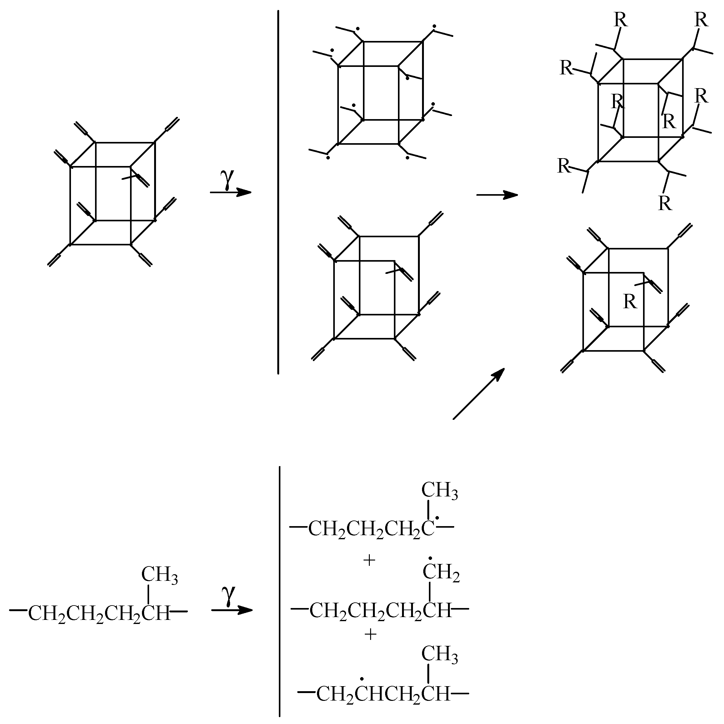 Polymers 14 00187 g001 550