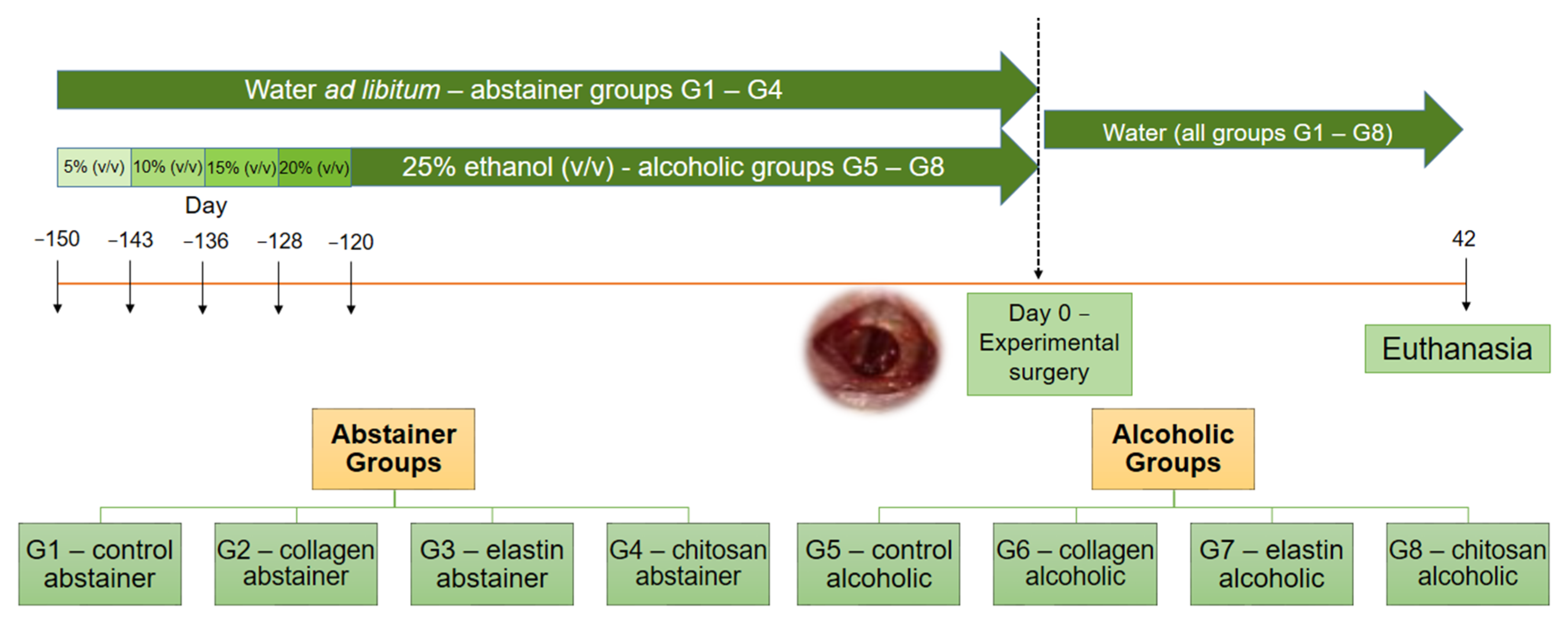 Polymers 14 00188 g001