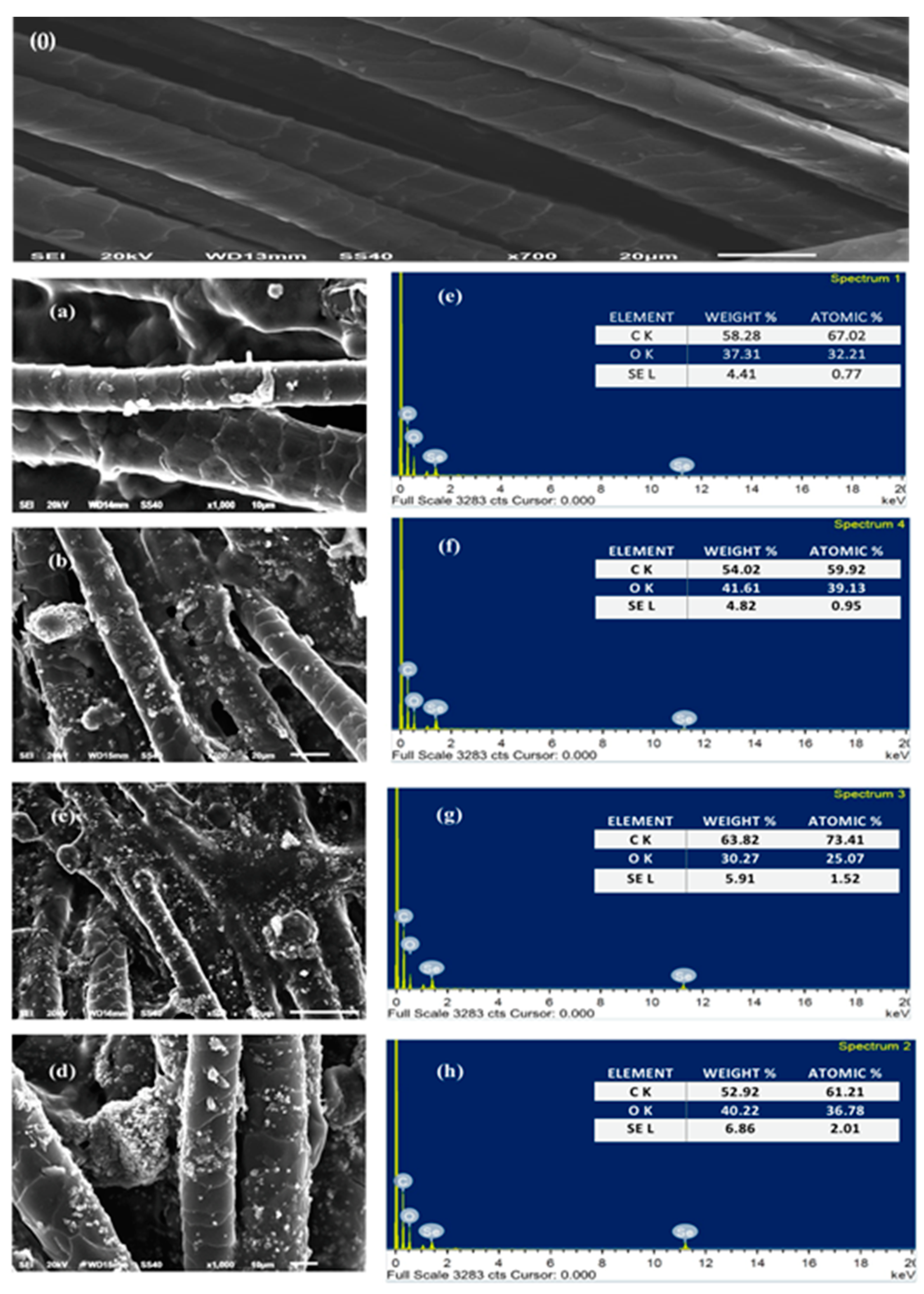 Polymers 14 00191 g002
