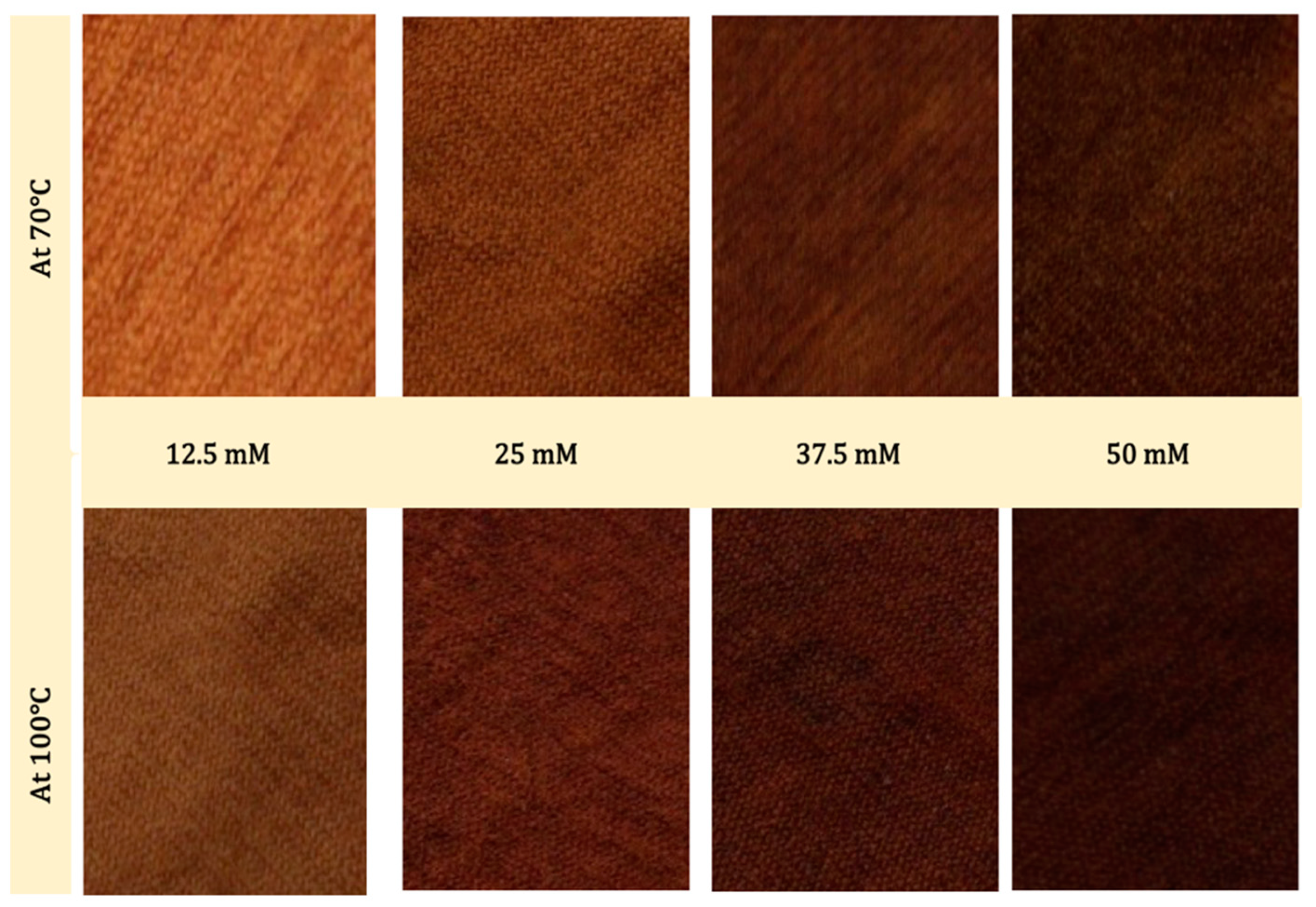 Polymers 14 00191 g006