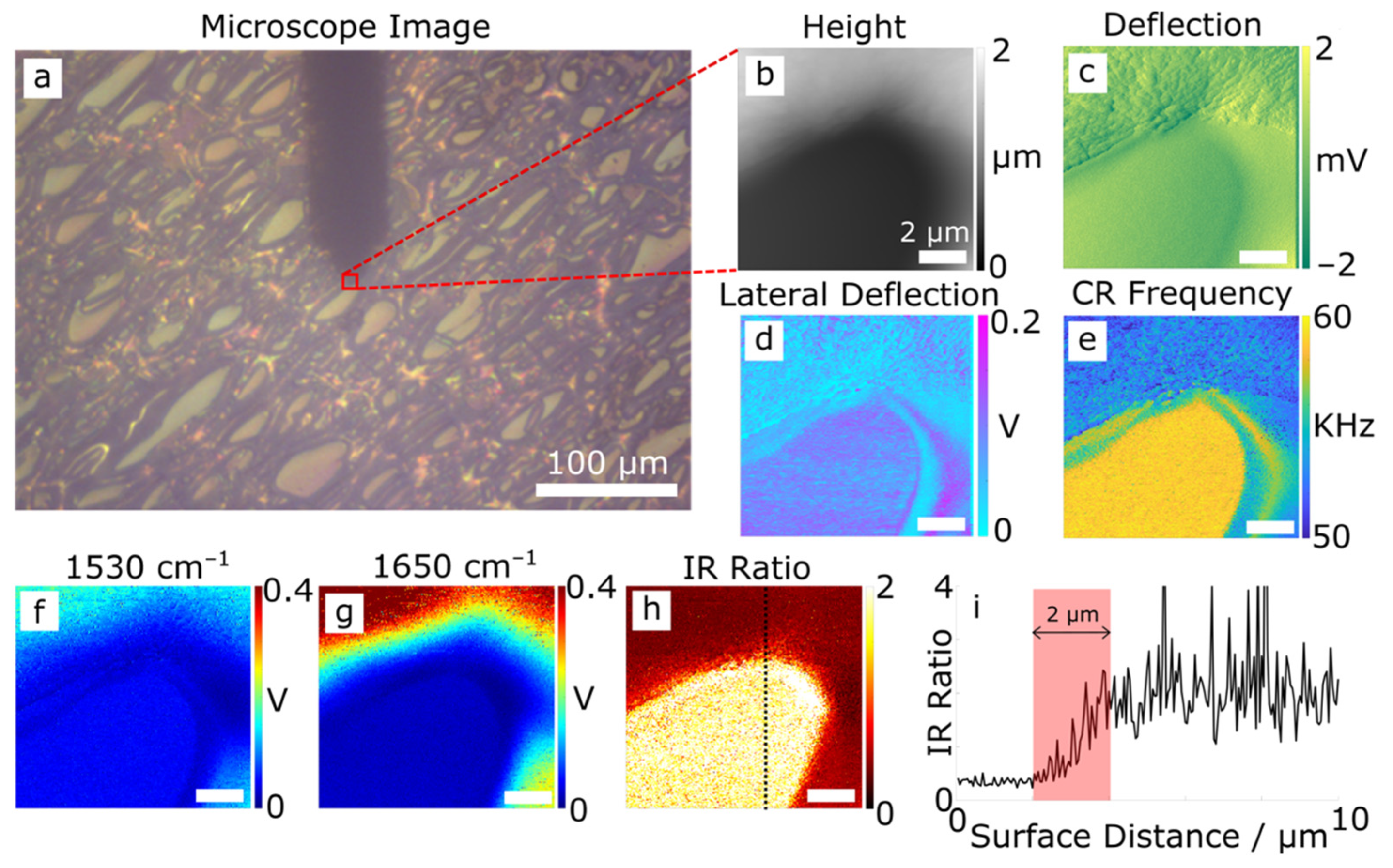 Polymers 14 00192 g001 550