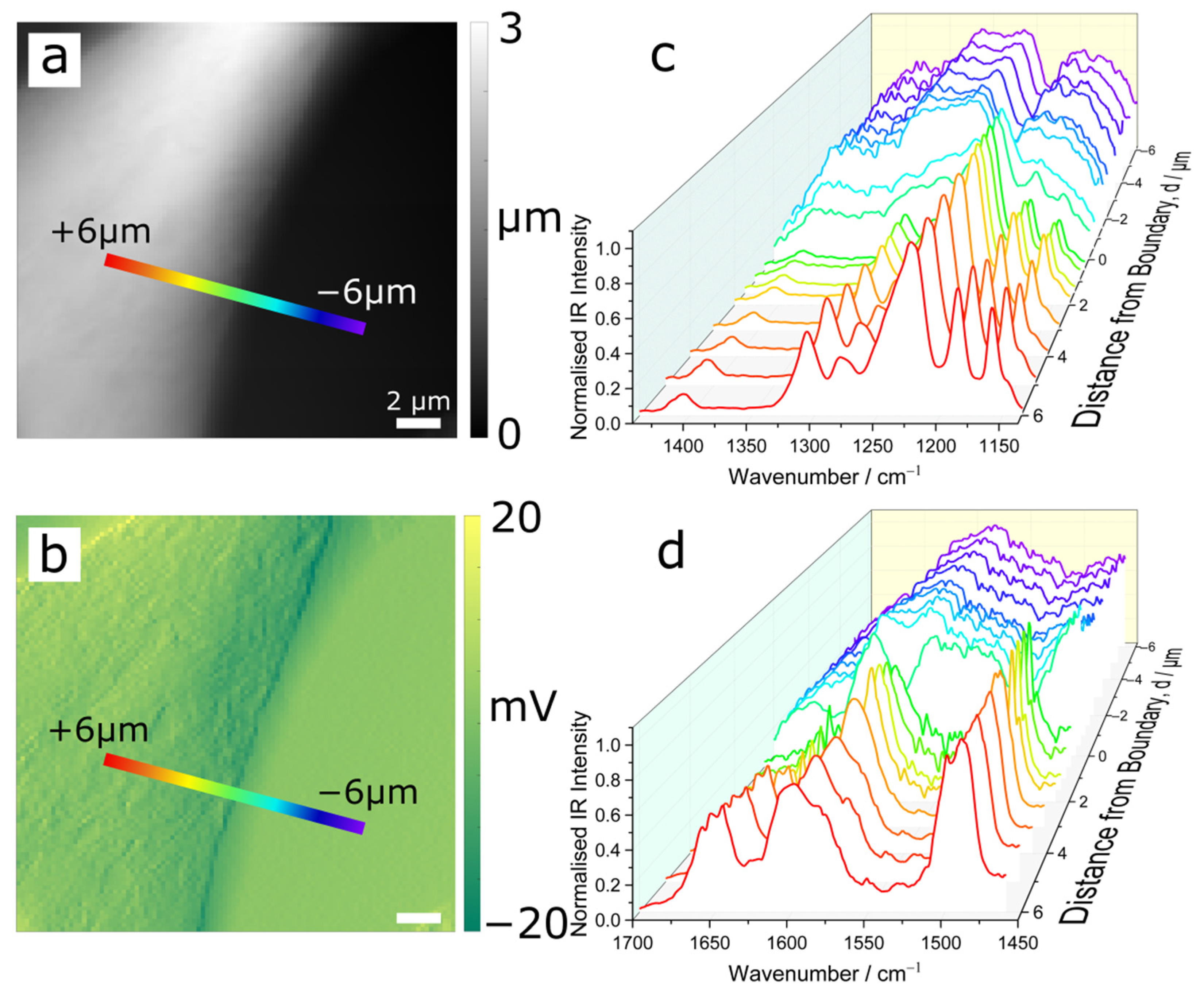 Polymers 14 00192 g003 550