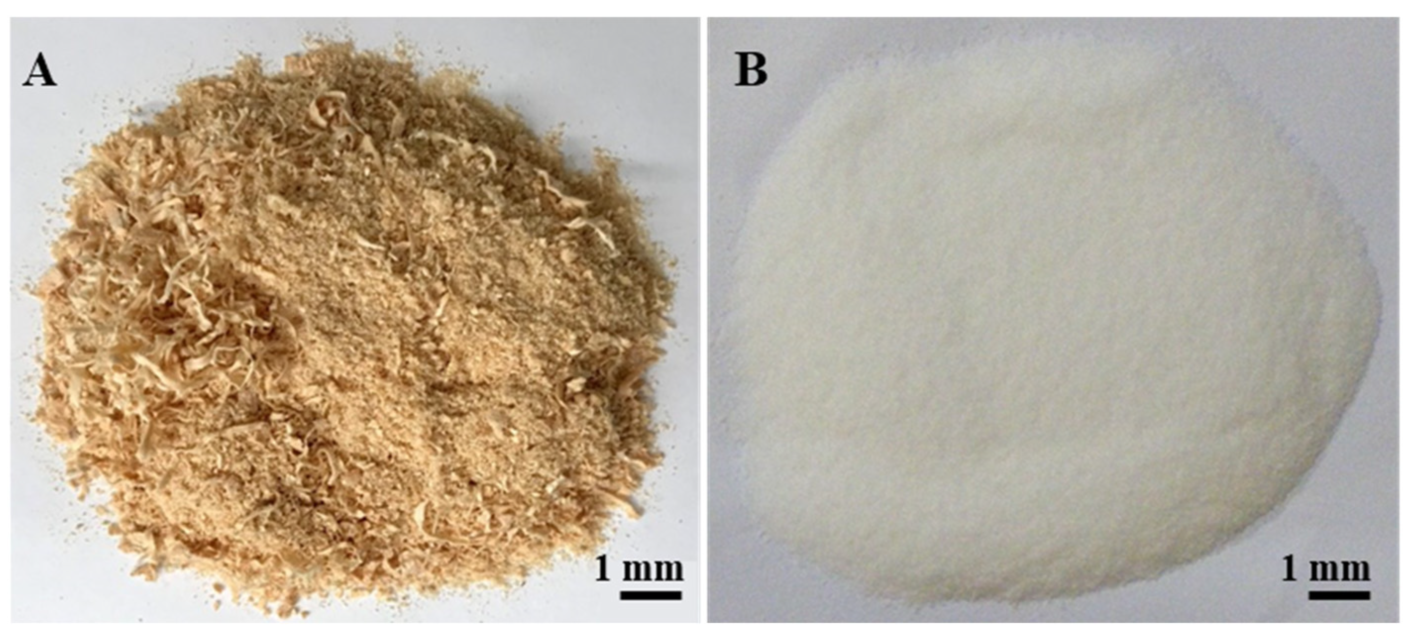 Polymers 14 00193 g001 550