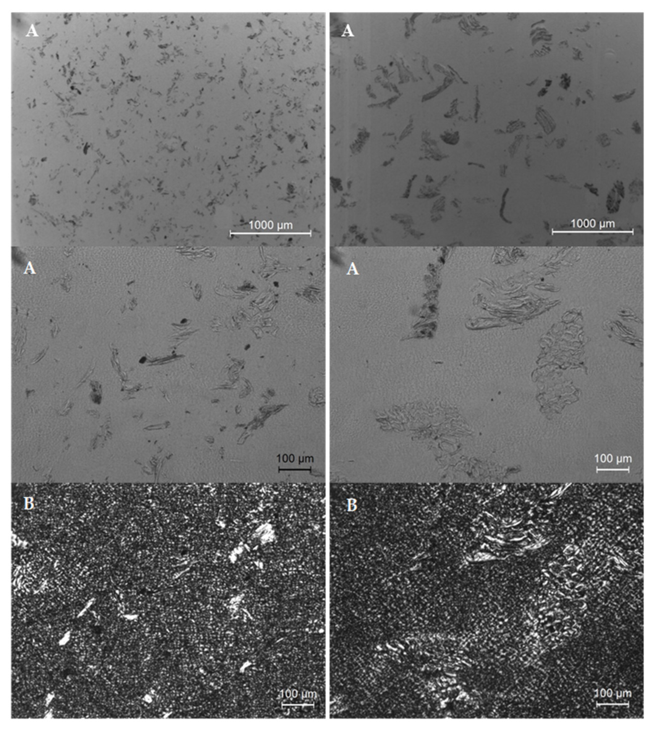 Polymers 14 00193 g008 550