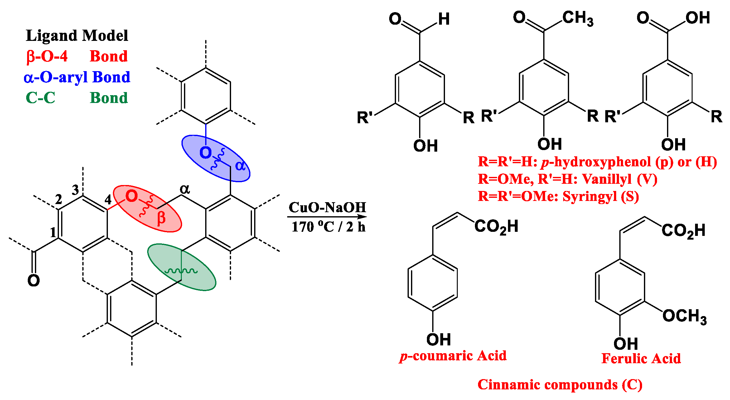 Polymers 14 00194 g001