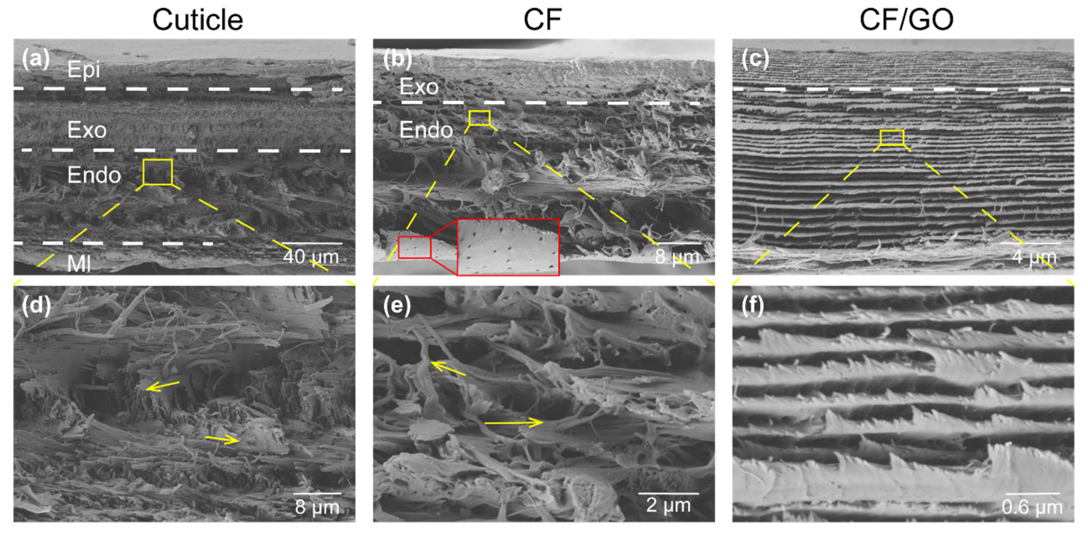 Polymers 14 00195 g003 550