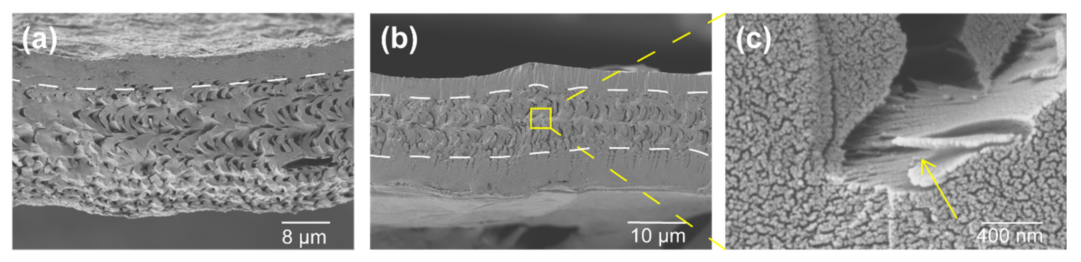 Polymers 14 00195 g004 550
