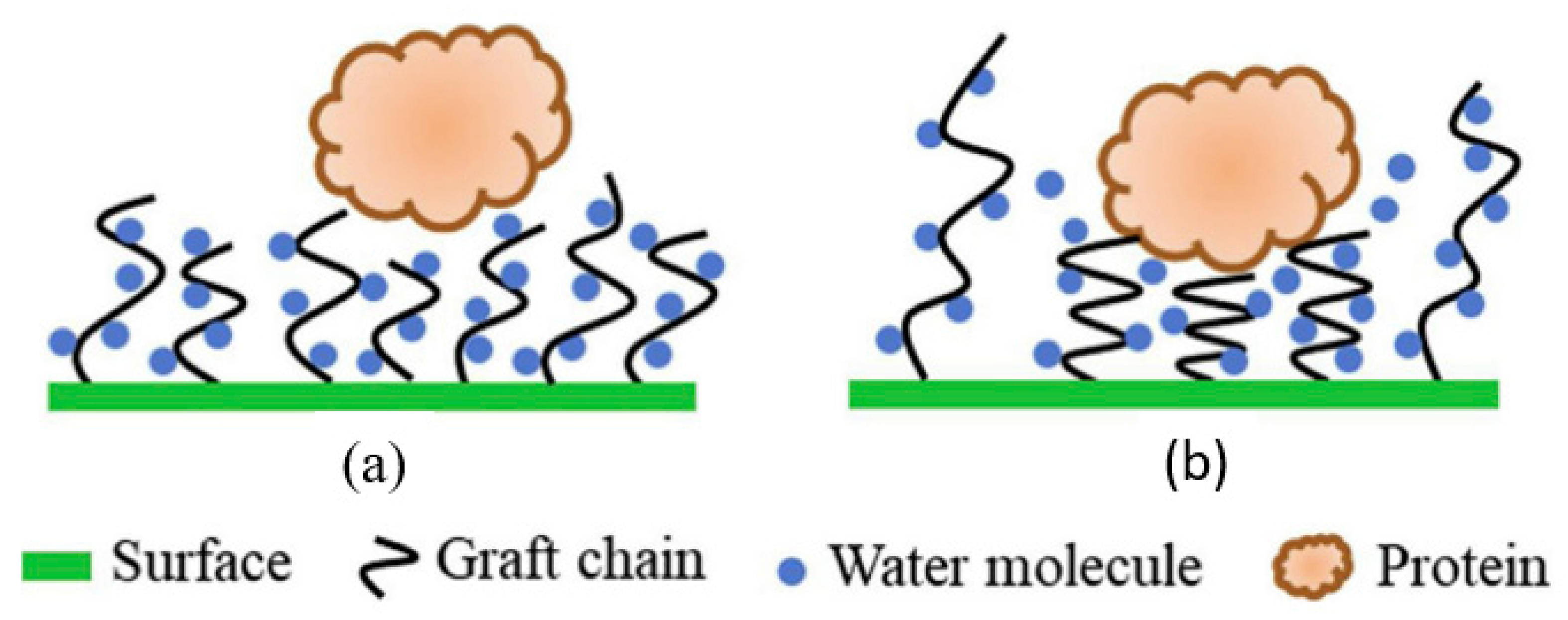 Polymers 14 00197 g005 550