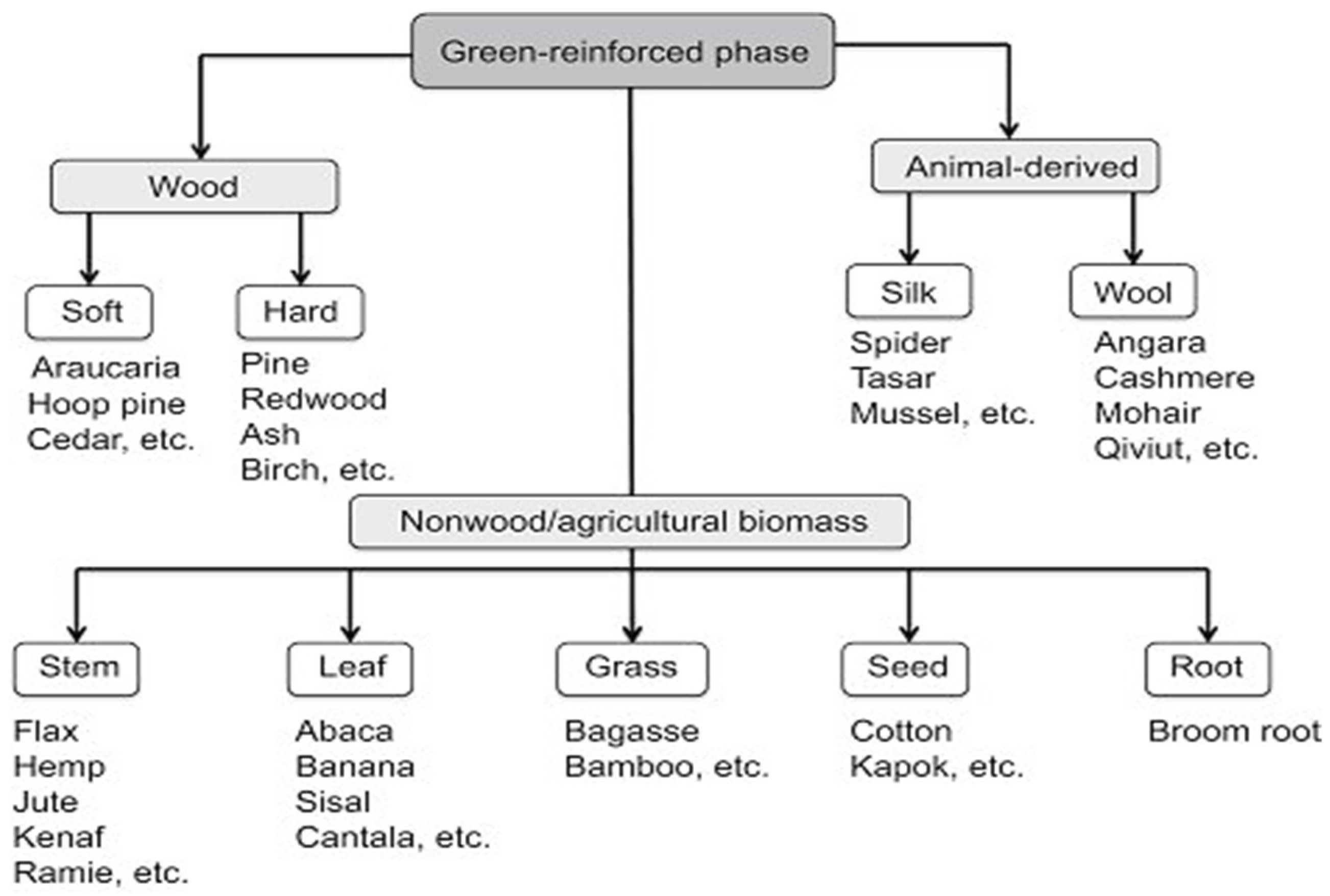 Polymers 14 00202 g001