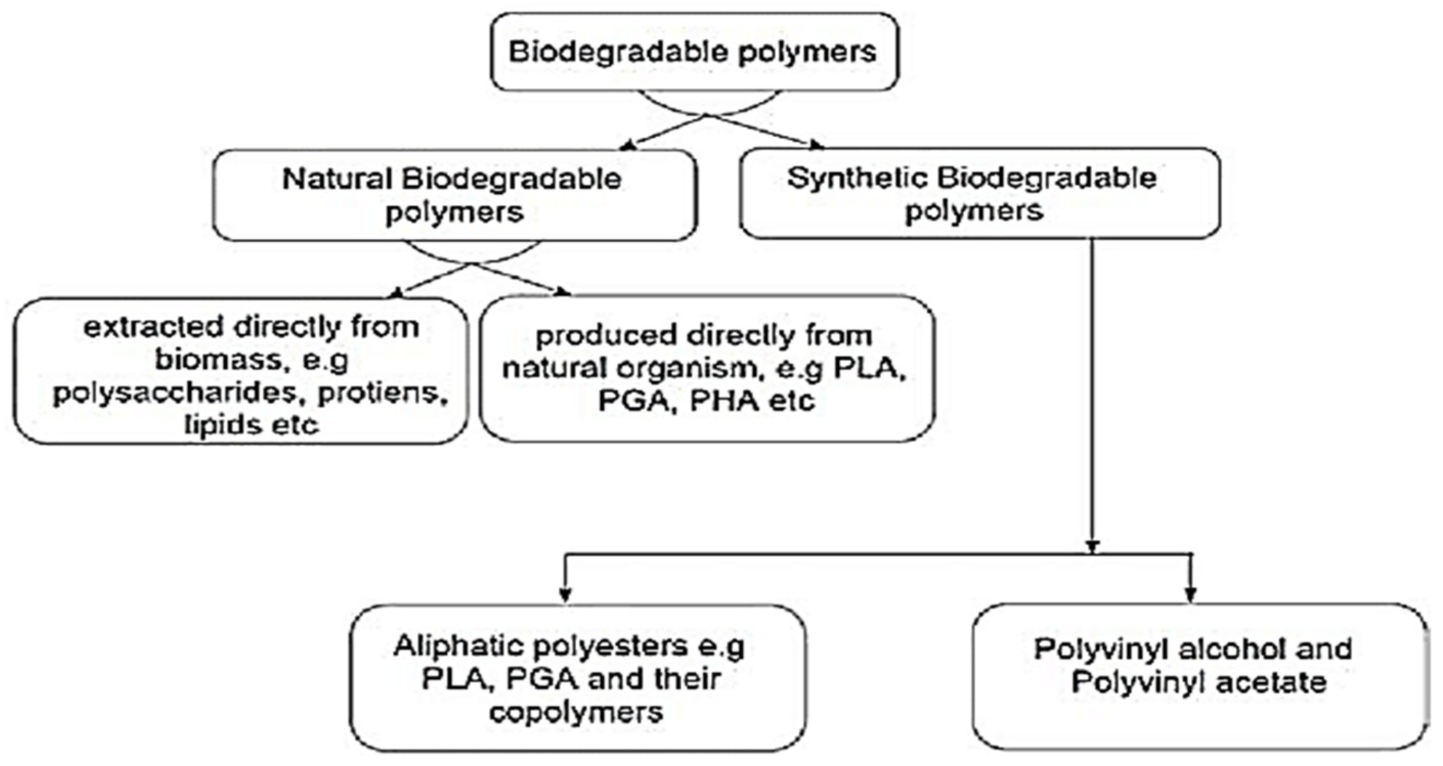Polymers 14 00202 g002