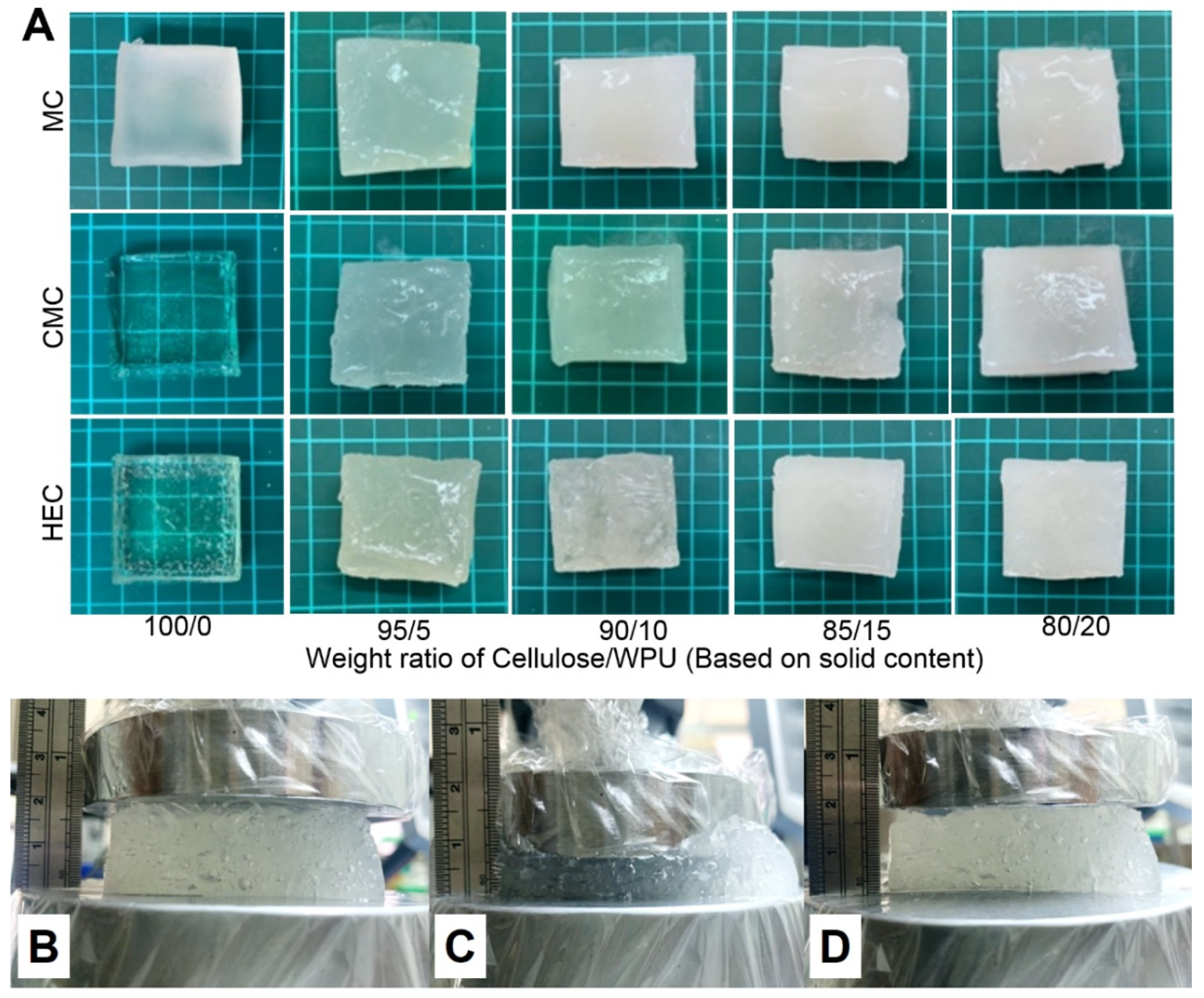 Polymers 14 00204 g001
