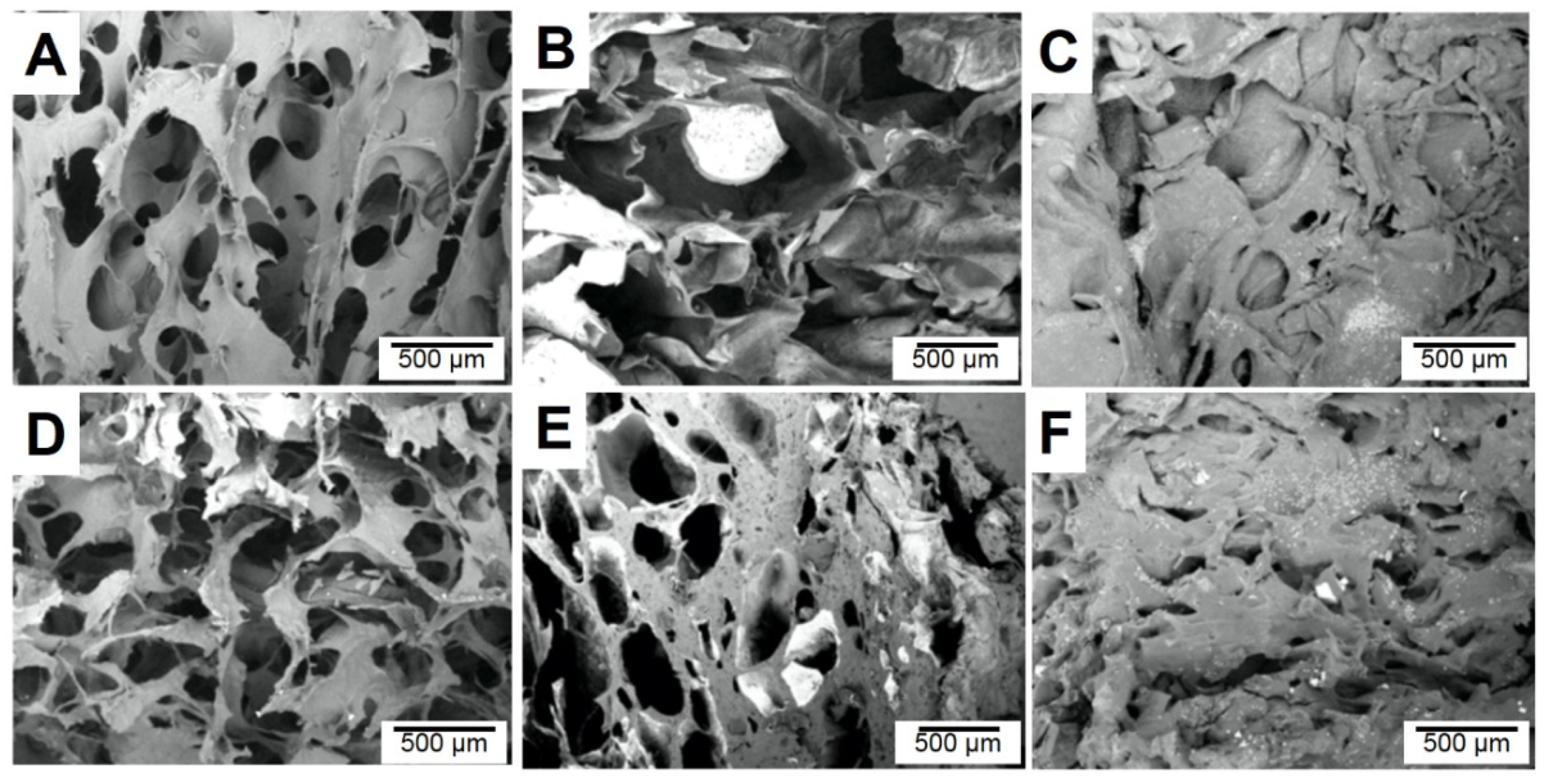 Polymers 14 00204 g004