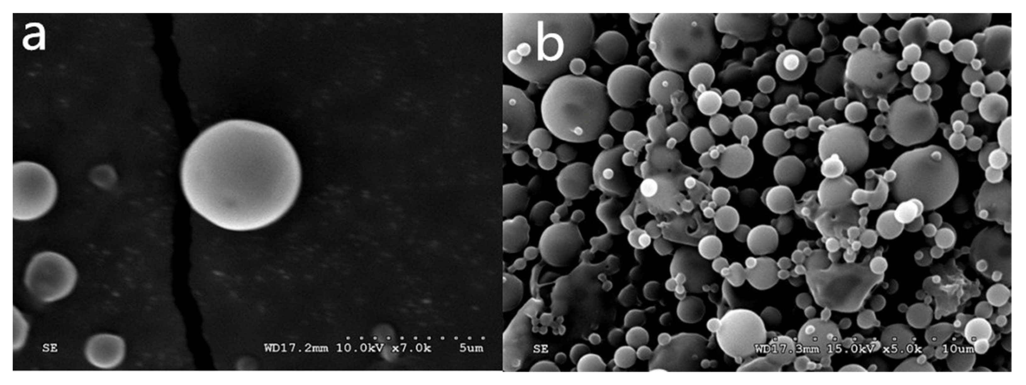 Polymers 14 00208 g001 550