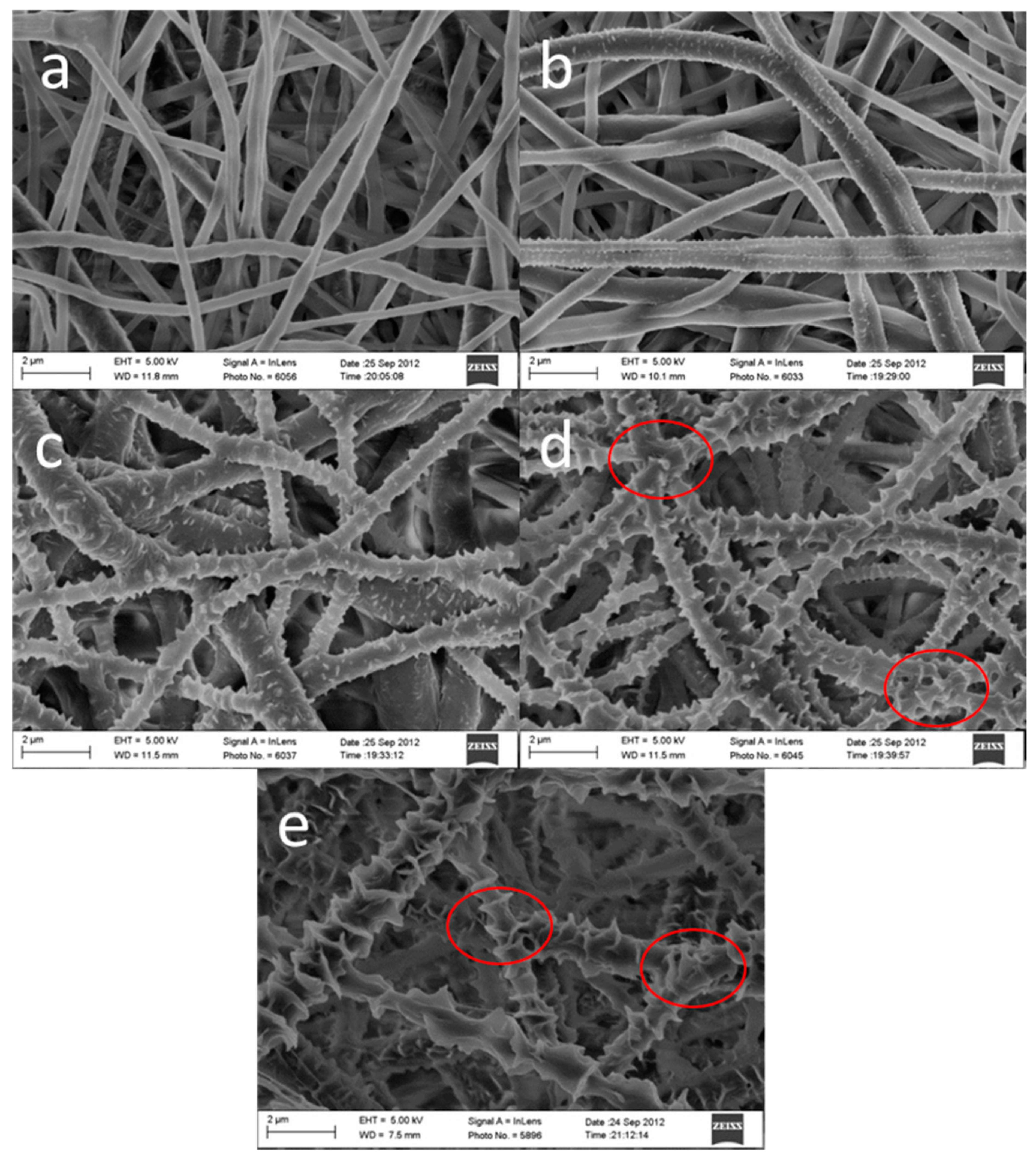Polymers 14 00209 g005 550