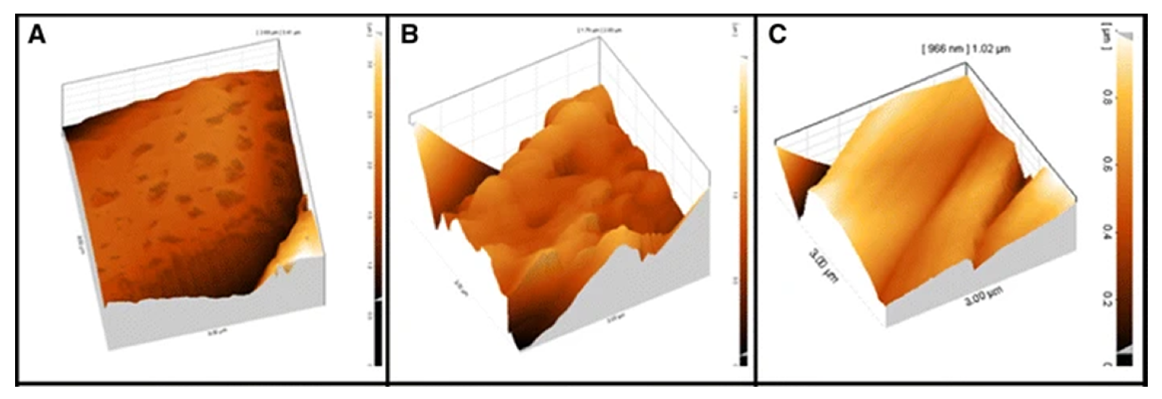 Polymers 14 00209 g007 550