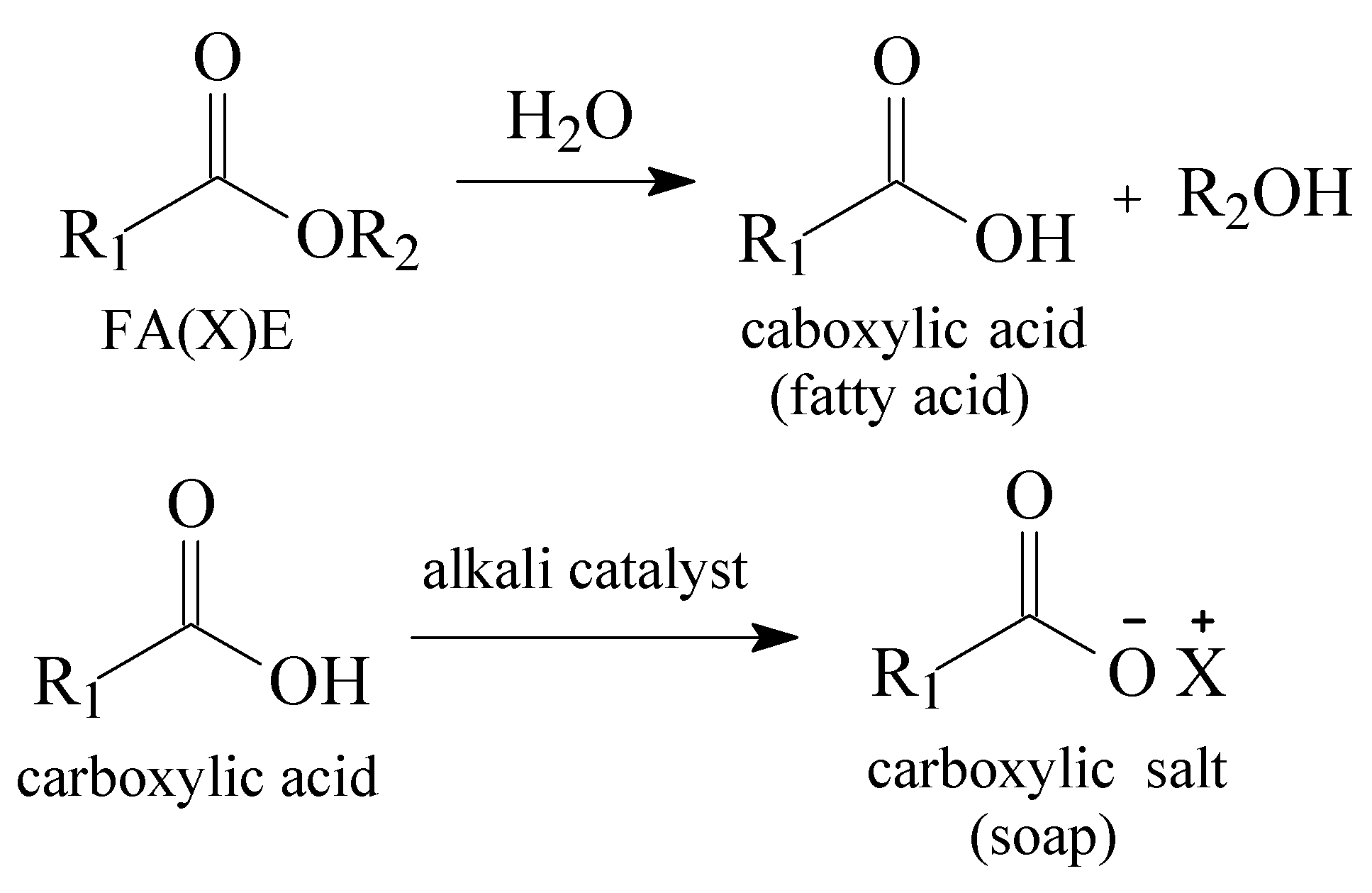 Polymers 14 00210 g003 550