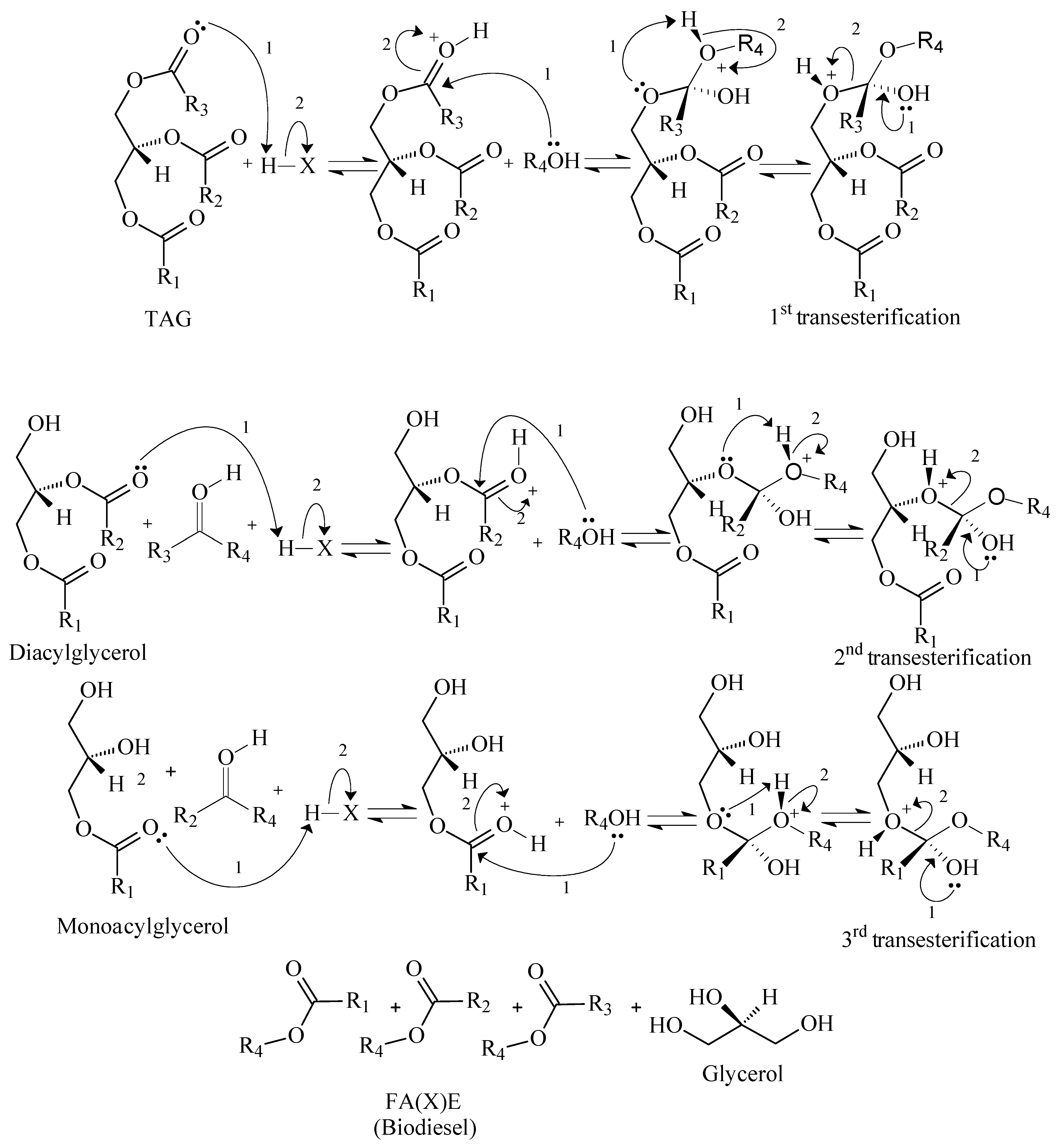 Polymers 14 00210 g004 550