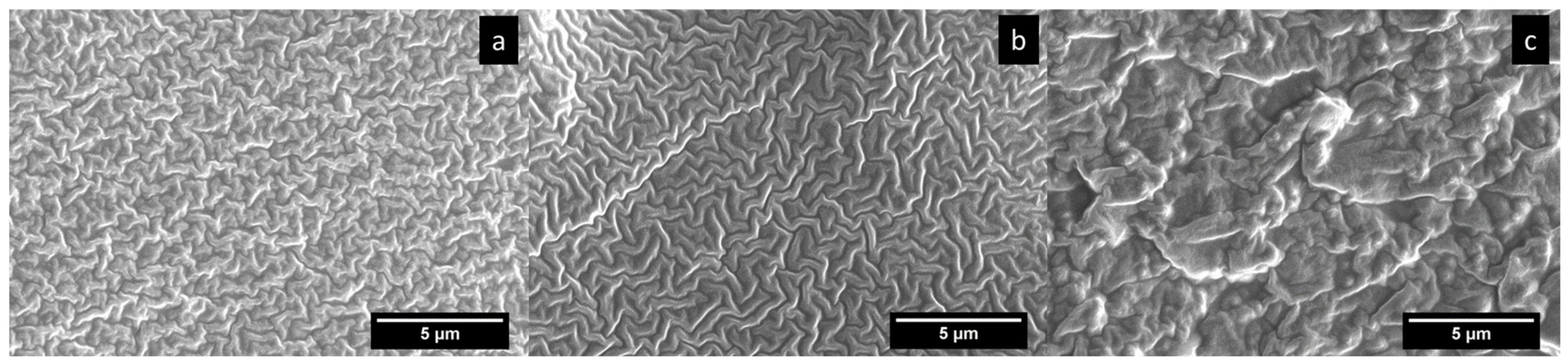 Polymers 14 00211 g002 550
