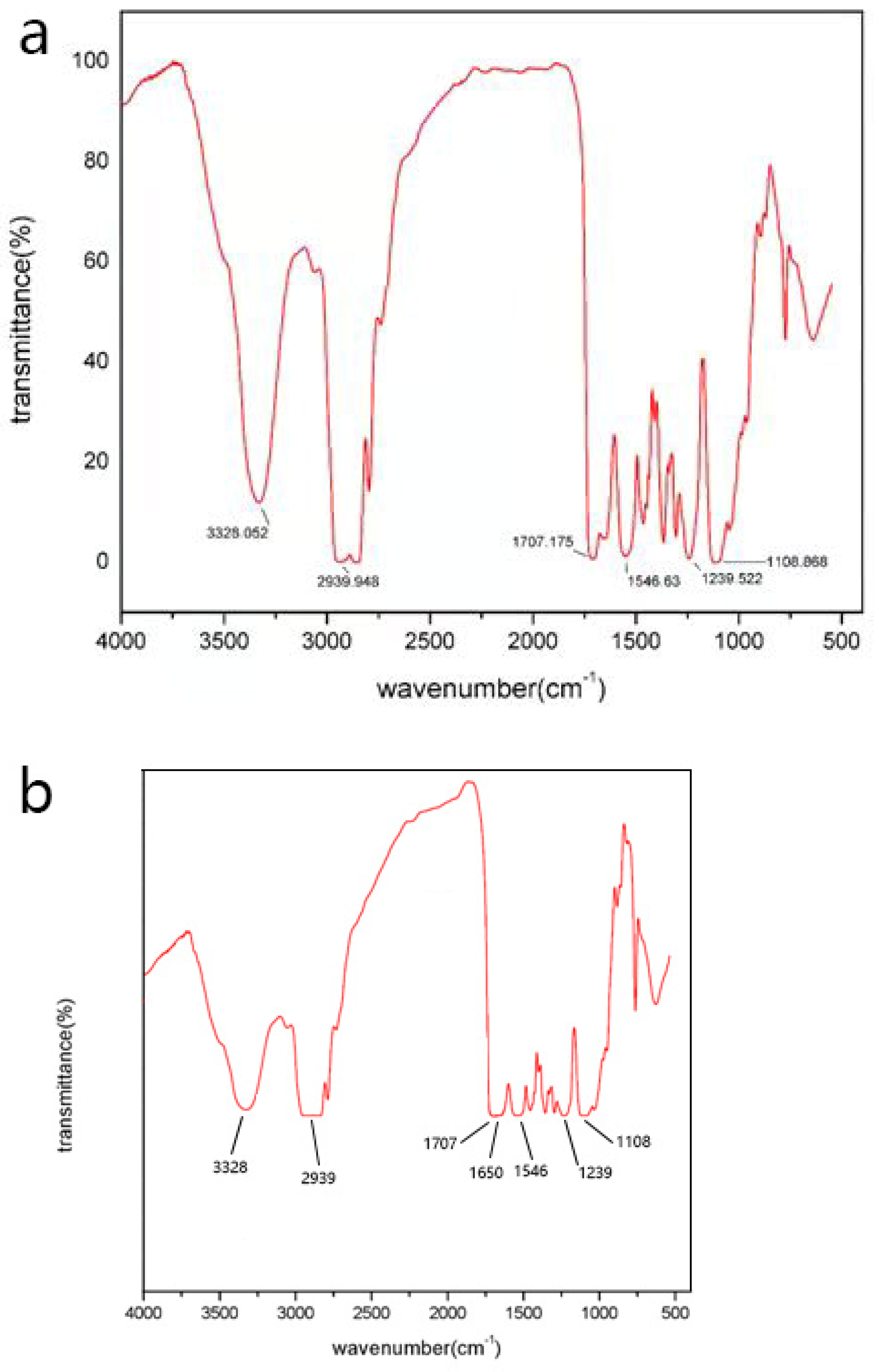 Polymers 14 00213 g001