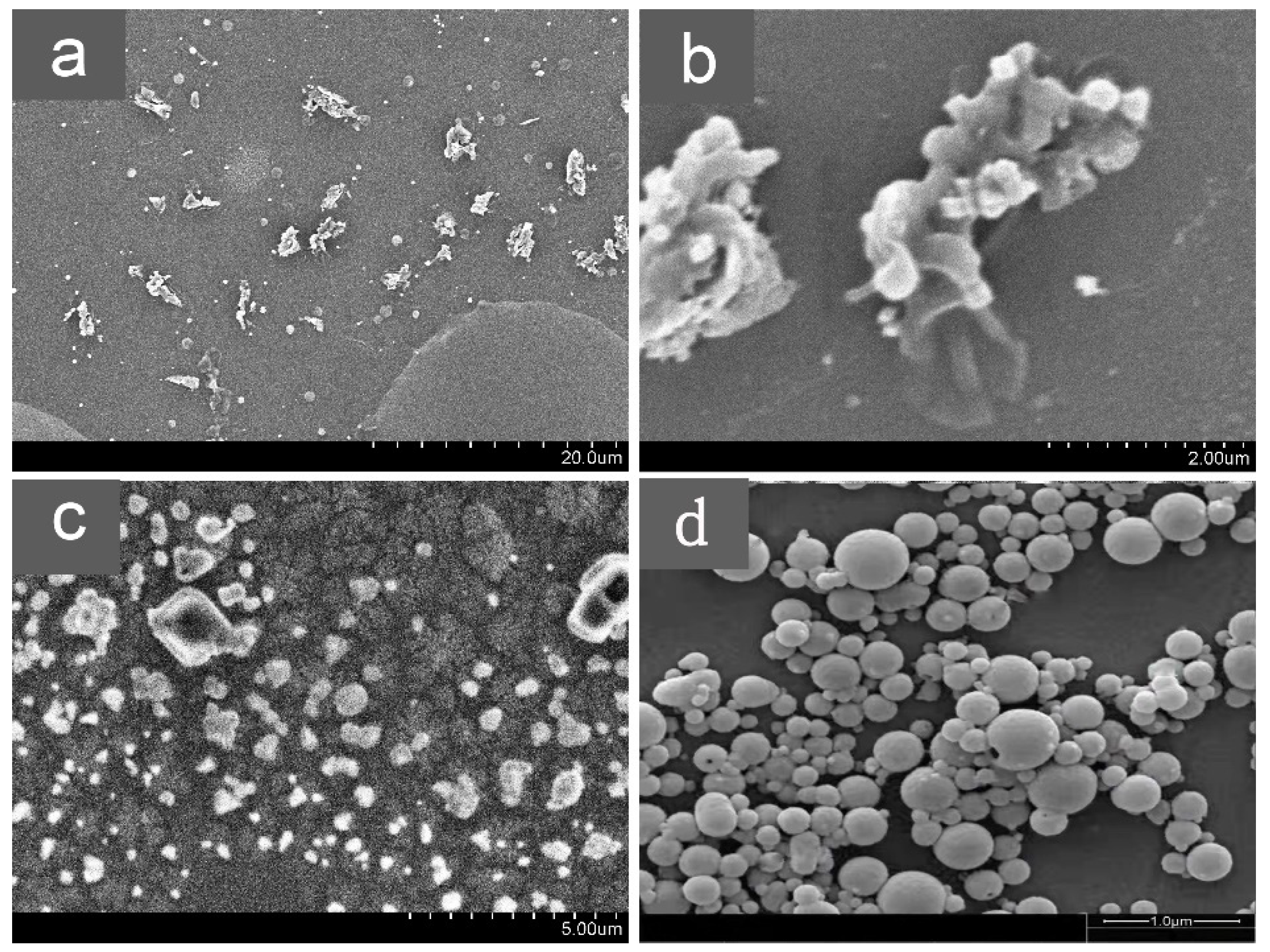 Polymers 14 00213 g004