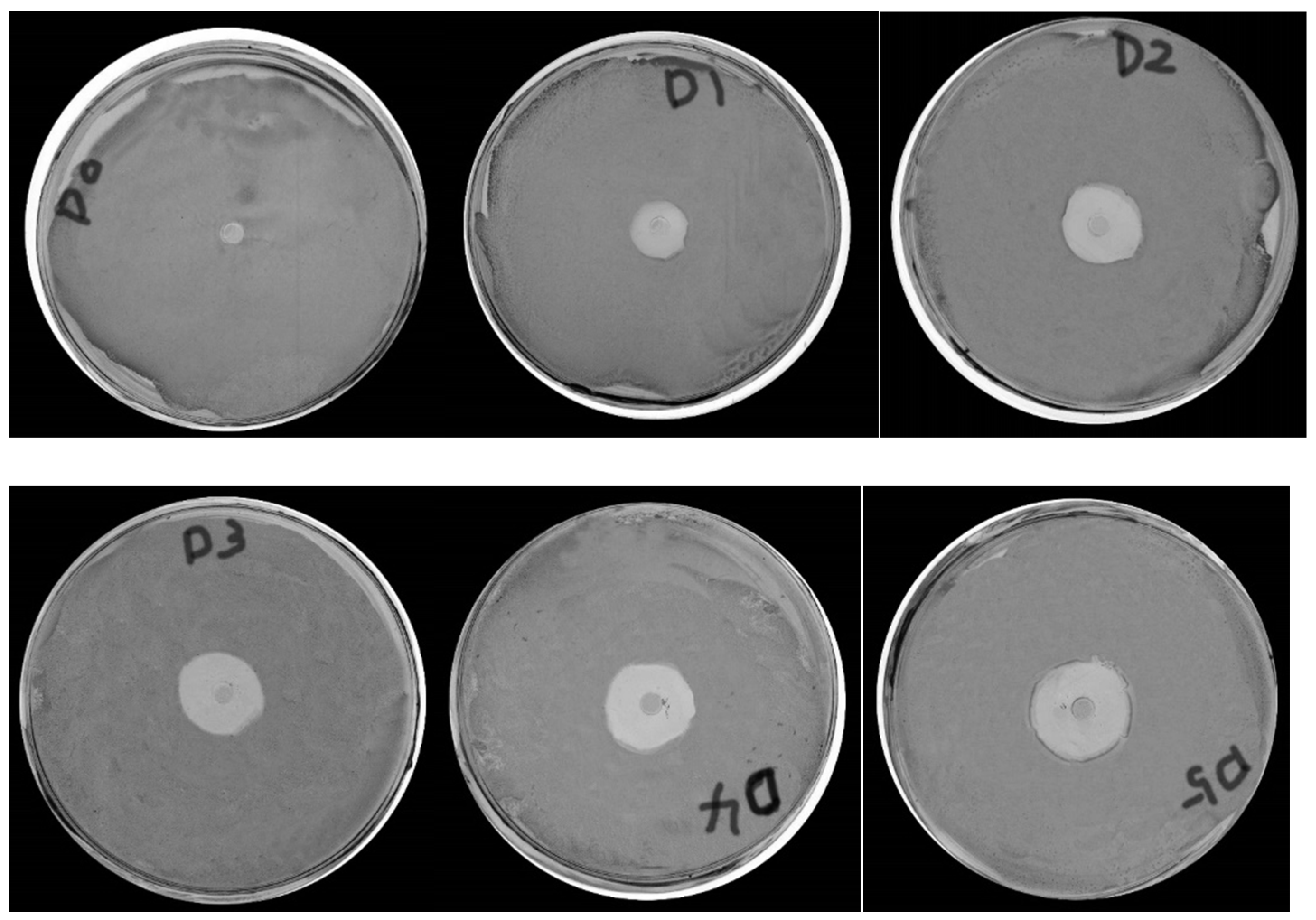 Polymers 14 00213 g007