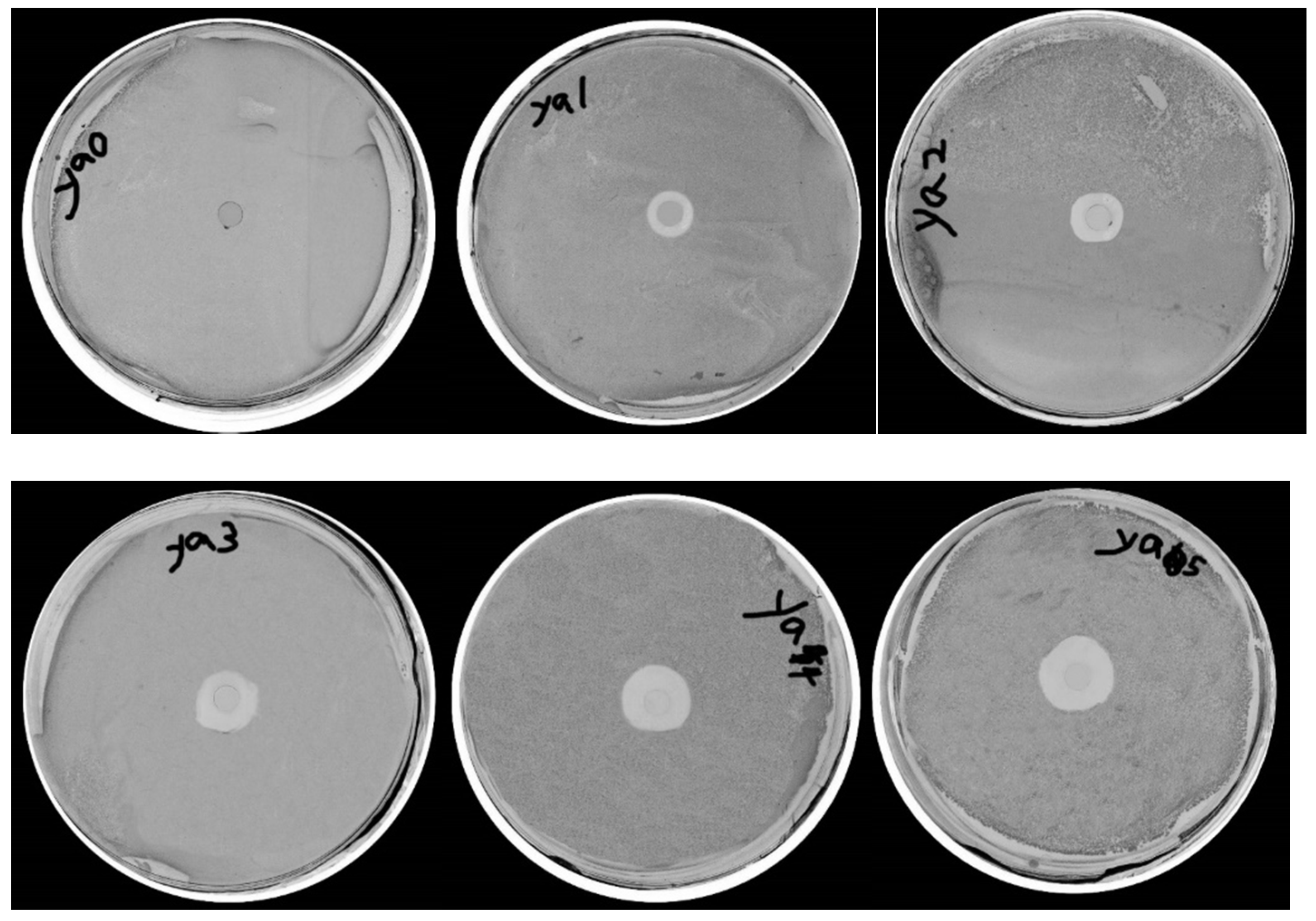 Polymers 14 00213 g009