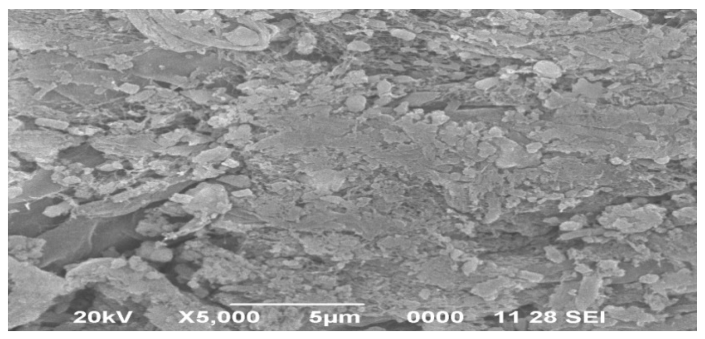 Polymers 14 00215 g008 550