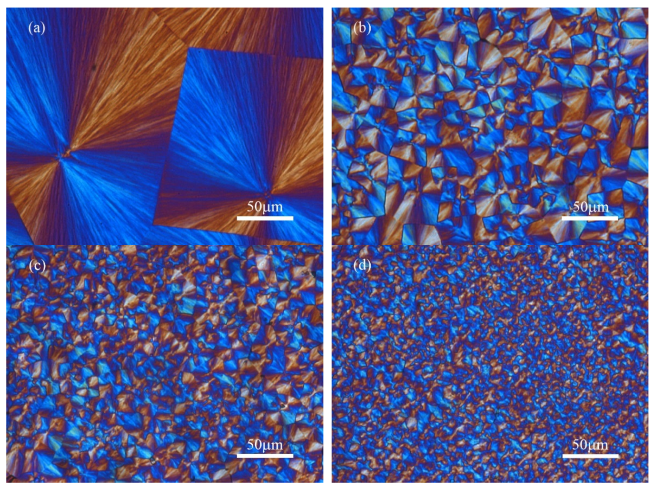 Polymers 14 00224 g006