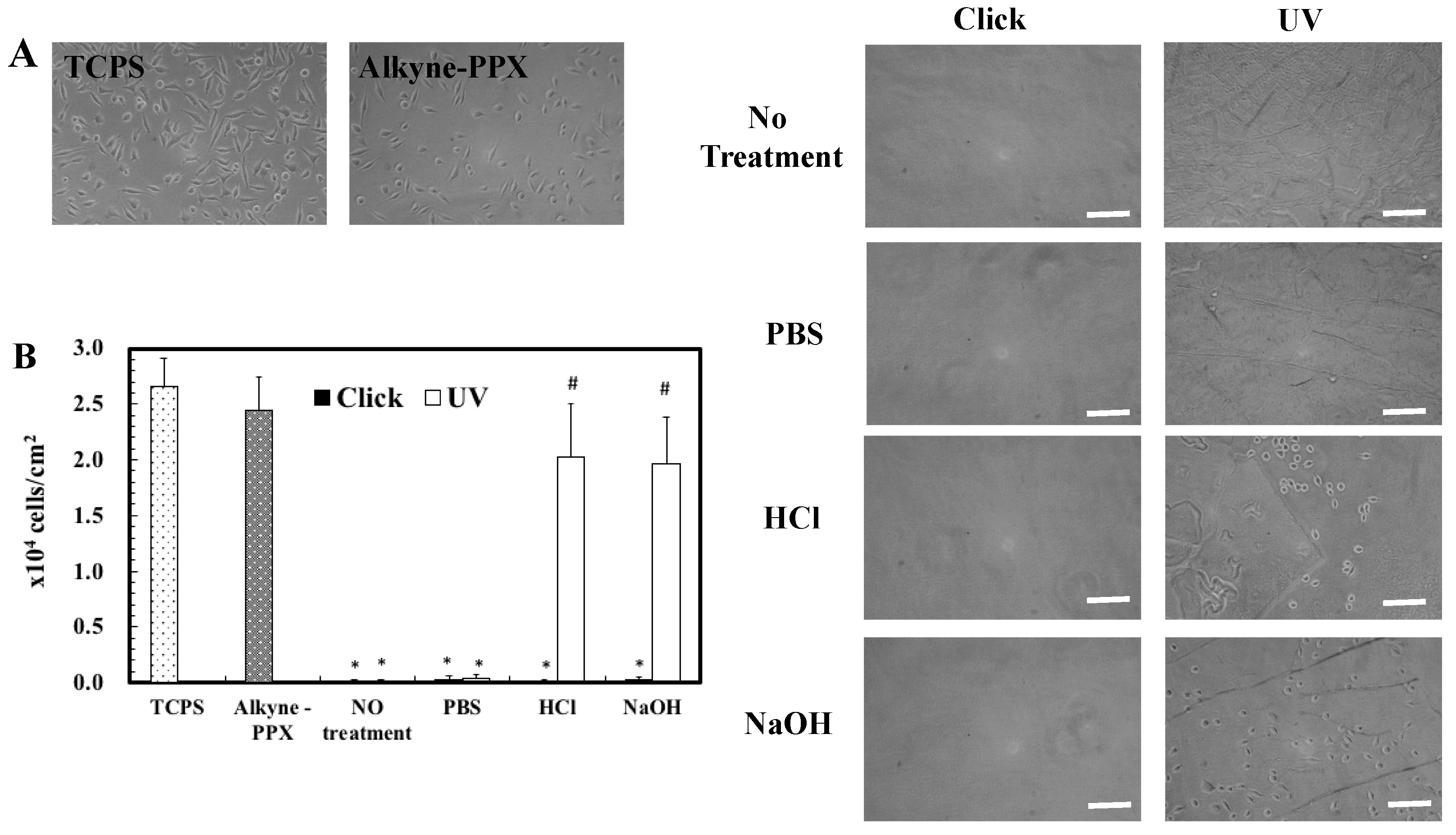 Polymers 14 00225 g003