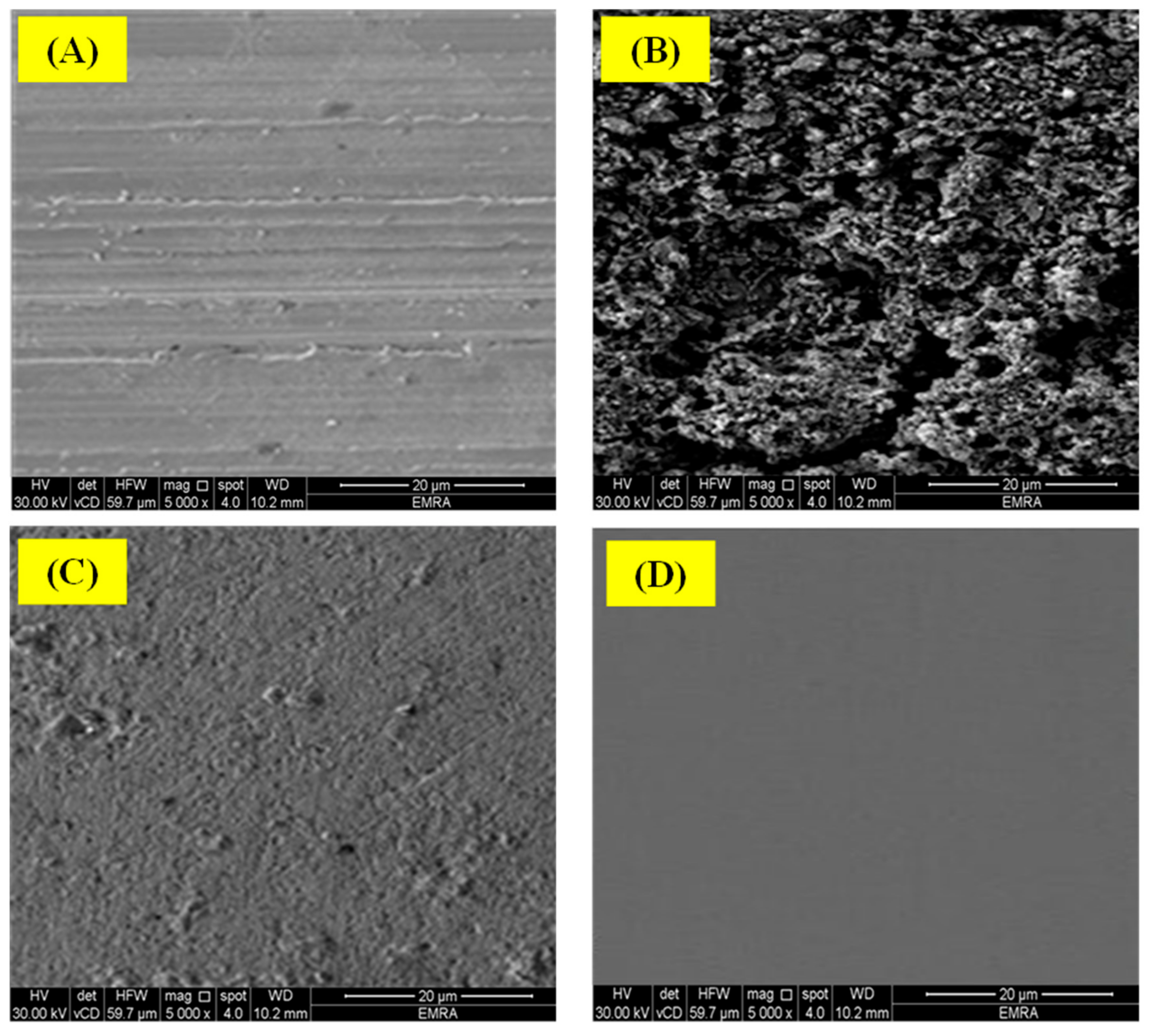 Polymers 14 00228 g012