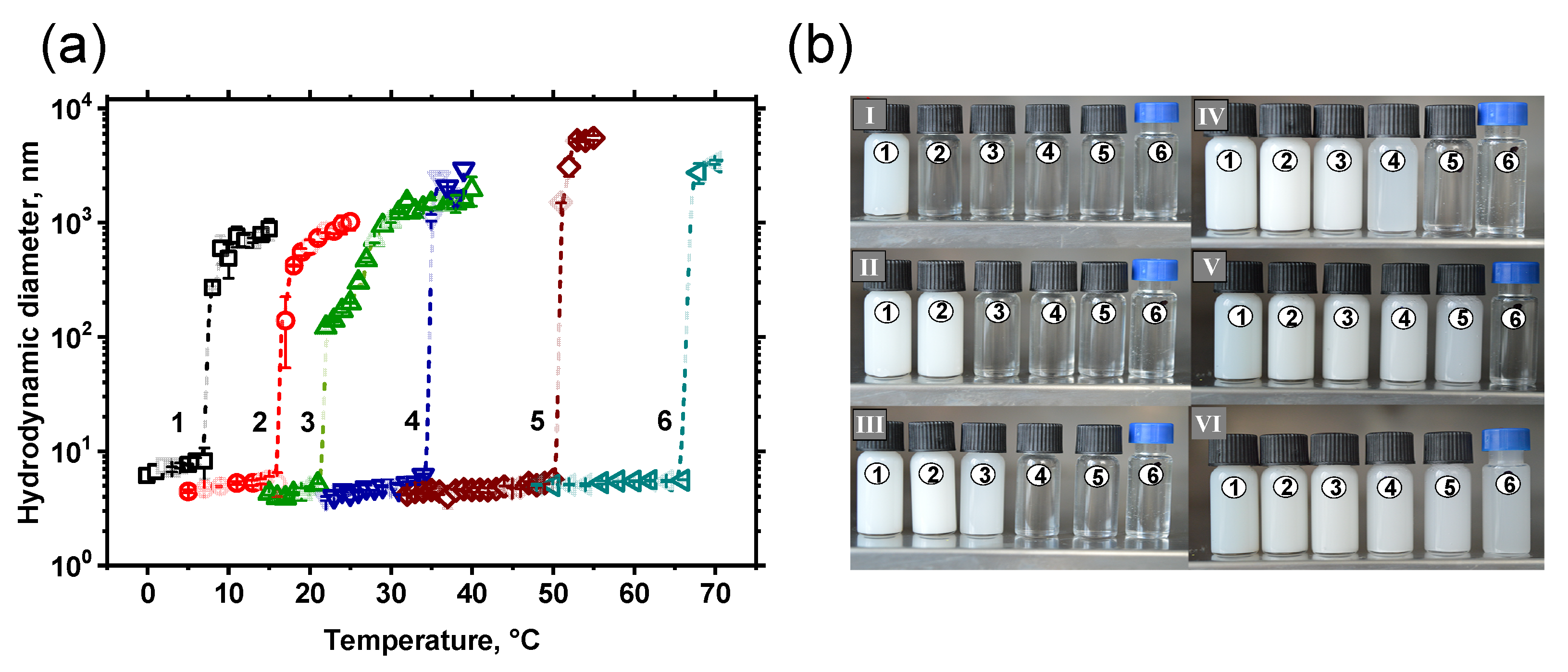 Polymers 14 00229 g006