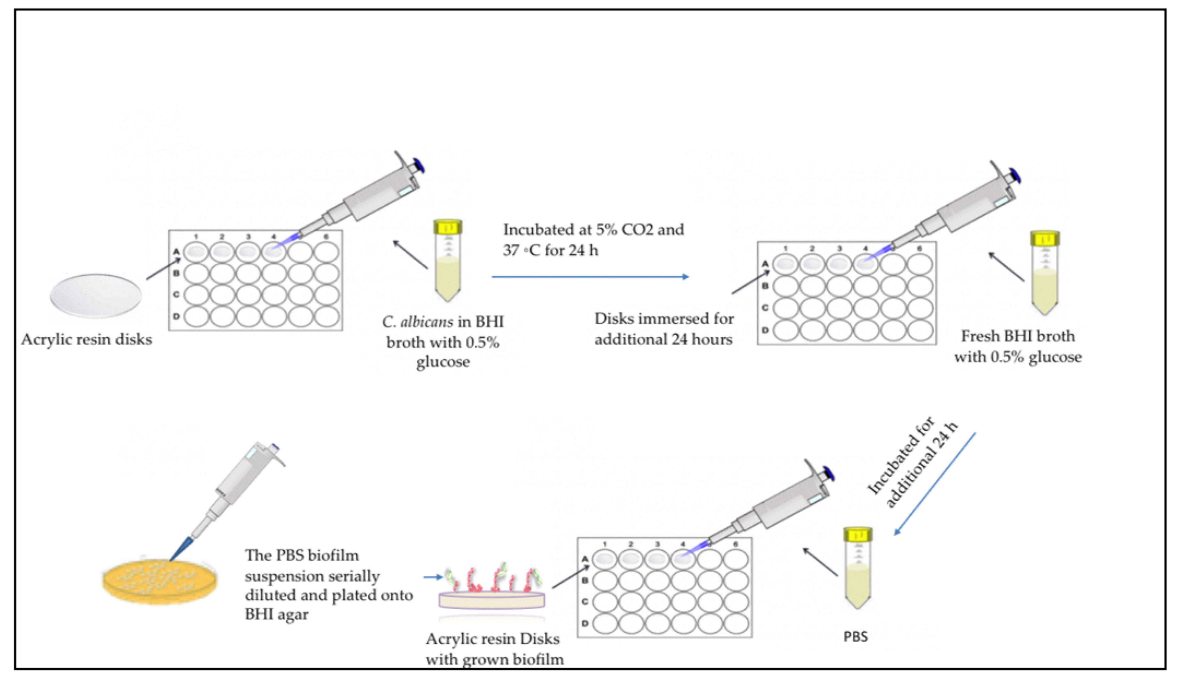 Polymers 14 00230 g001 550
