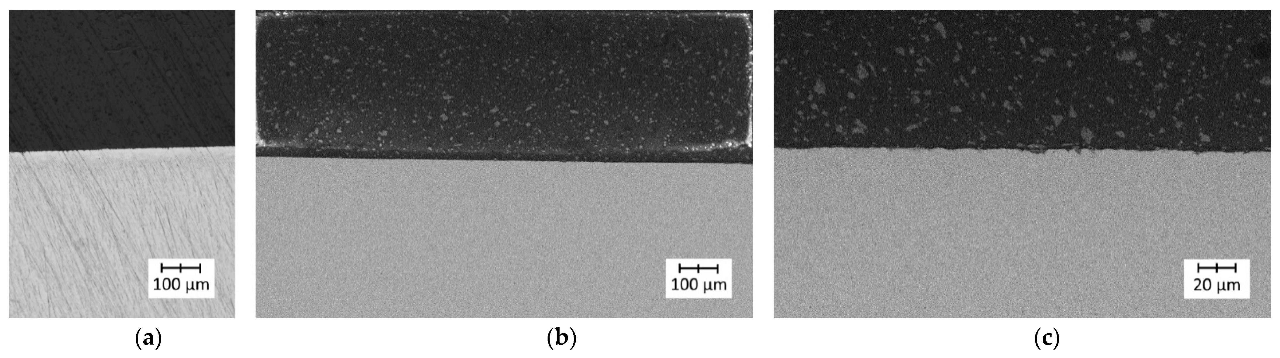 Polymers 14 00235 g017