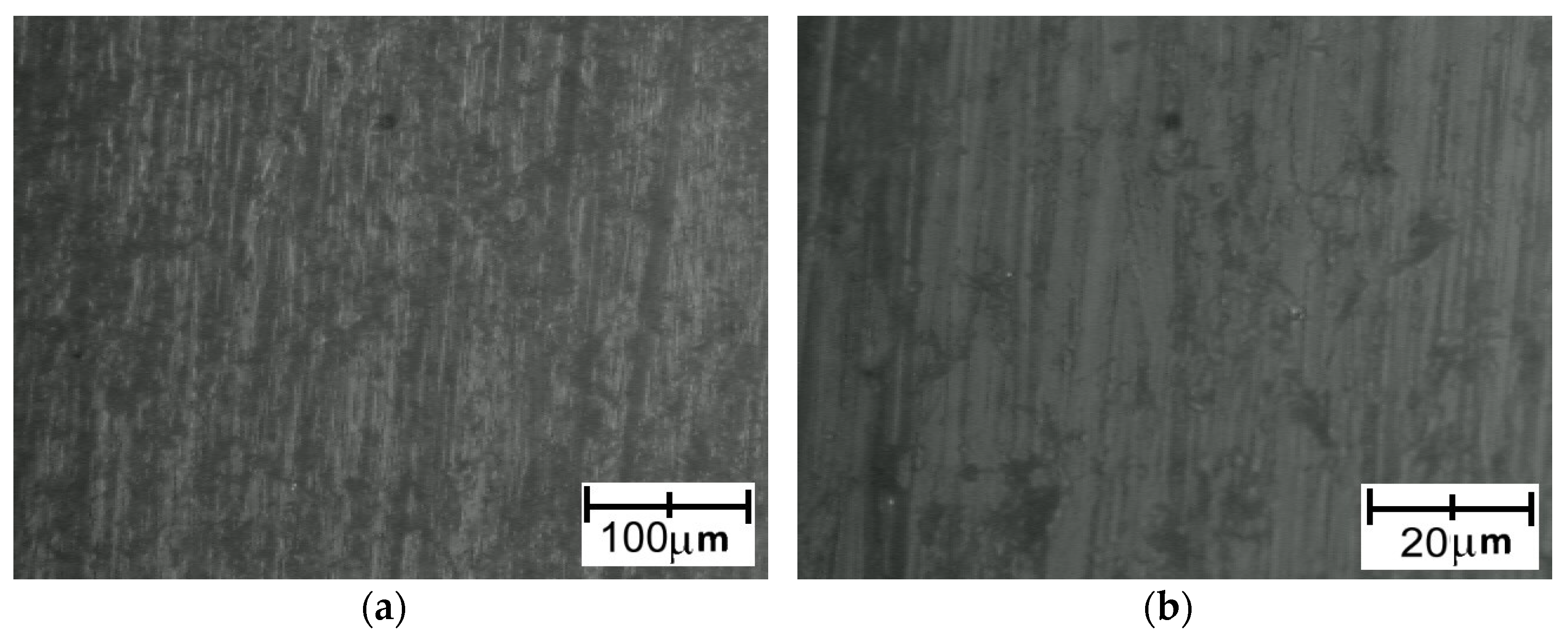 Polymers 14 00235 g019