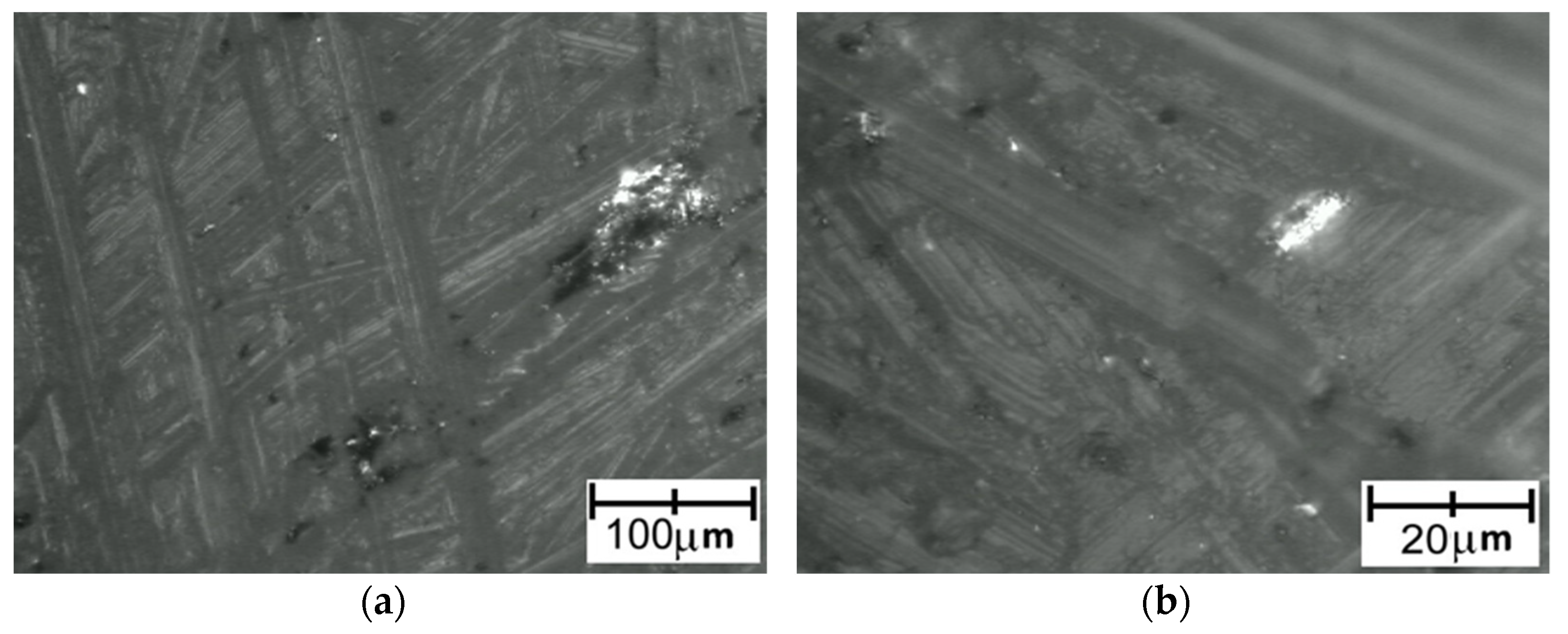 Polymers 14 00235 g020
