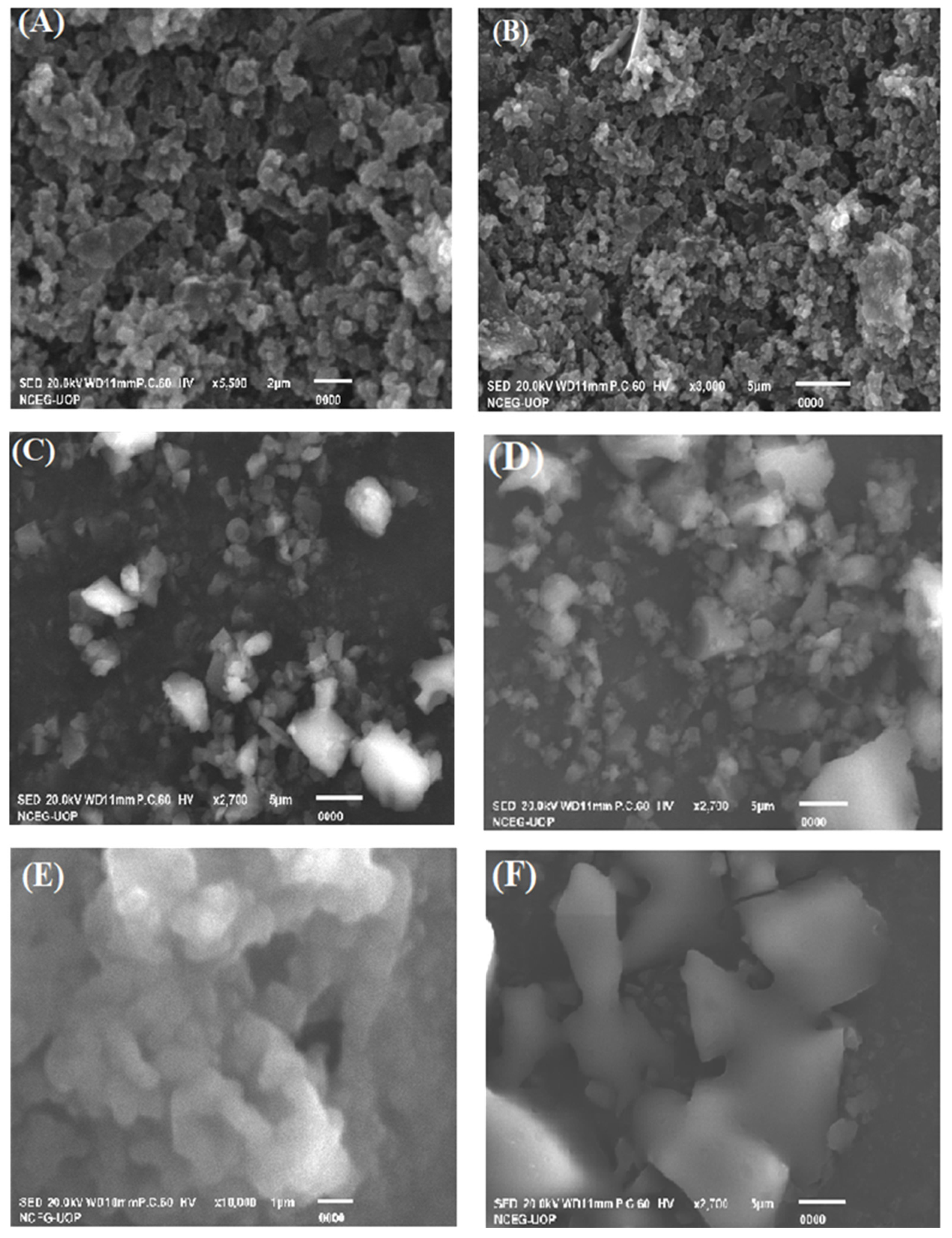 Polymers 14 00242 g004