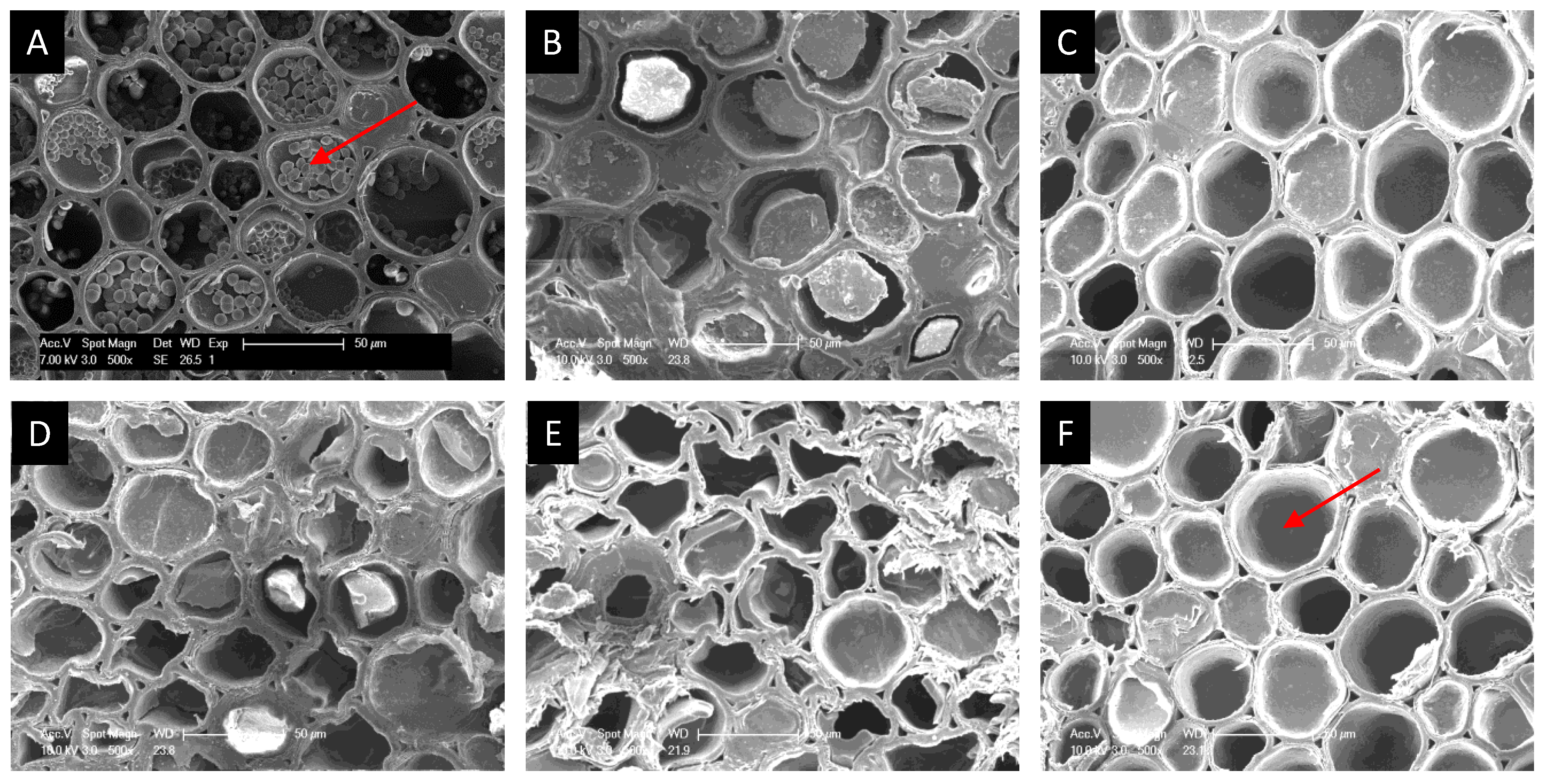 Polymers 14 00244 g003 Polymers 14 00244 g003