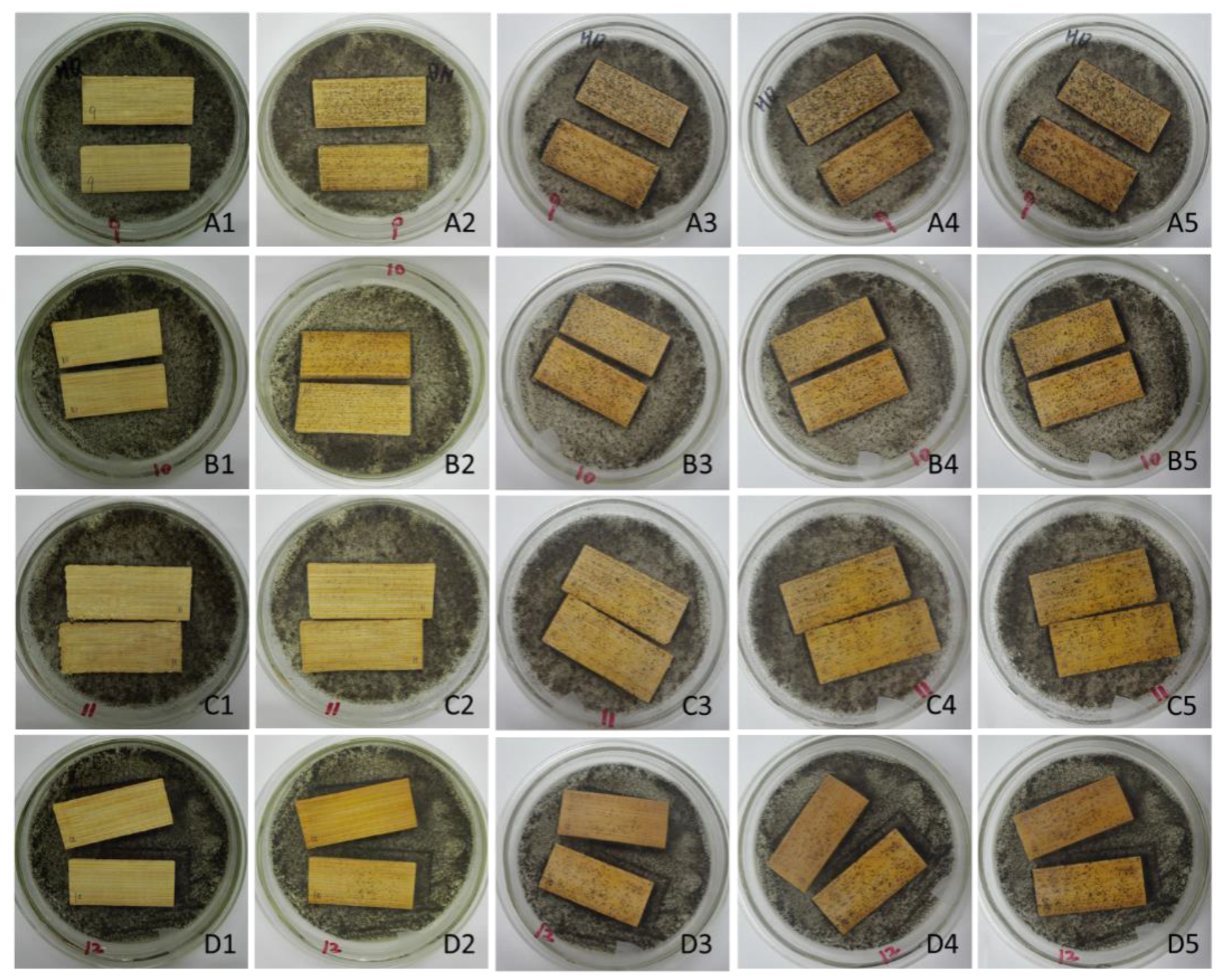 Polymers 14 00244 g005 Polymers 14 00244 g005