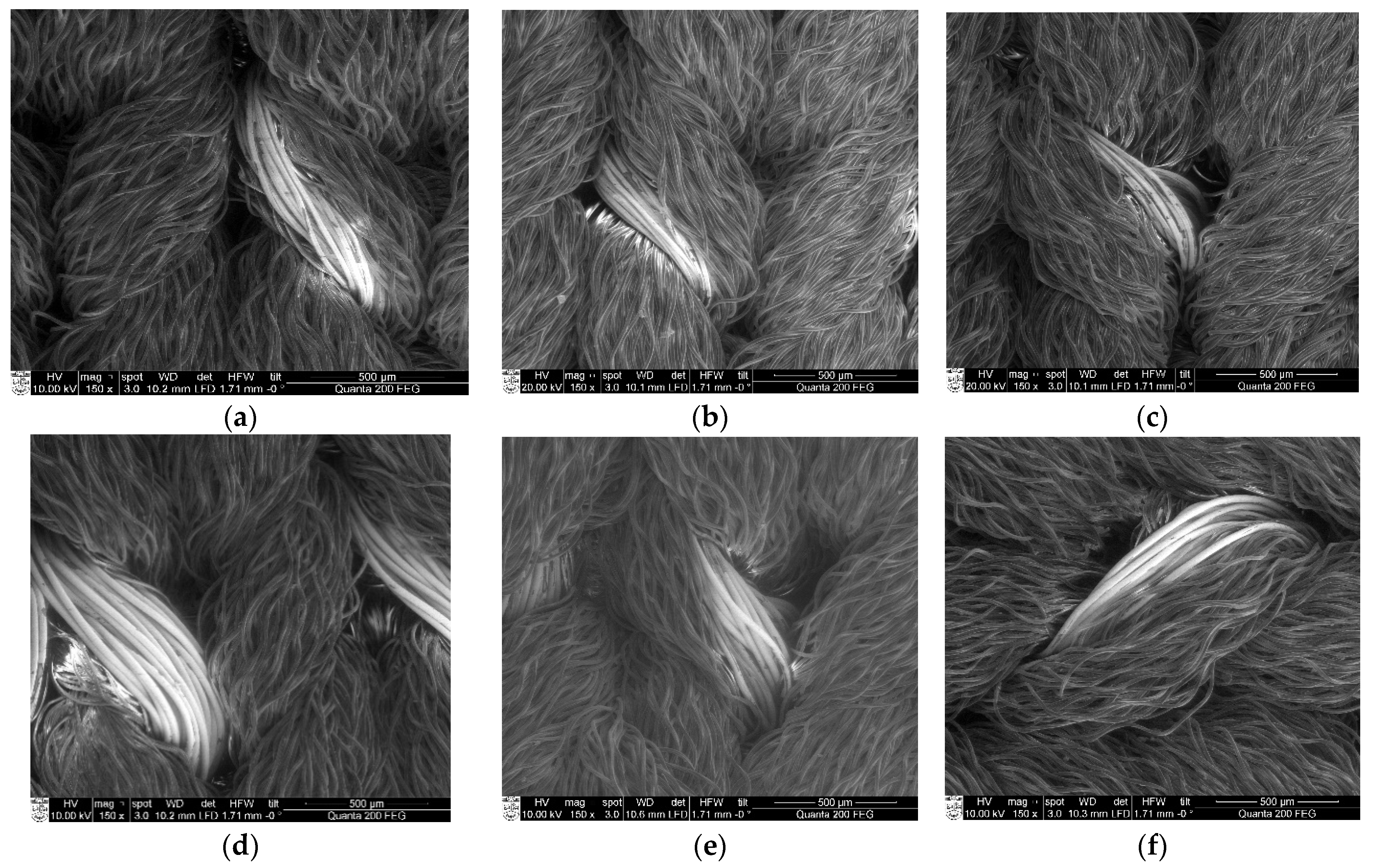 Polymers 14 00249 g004