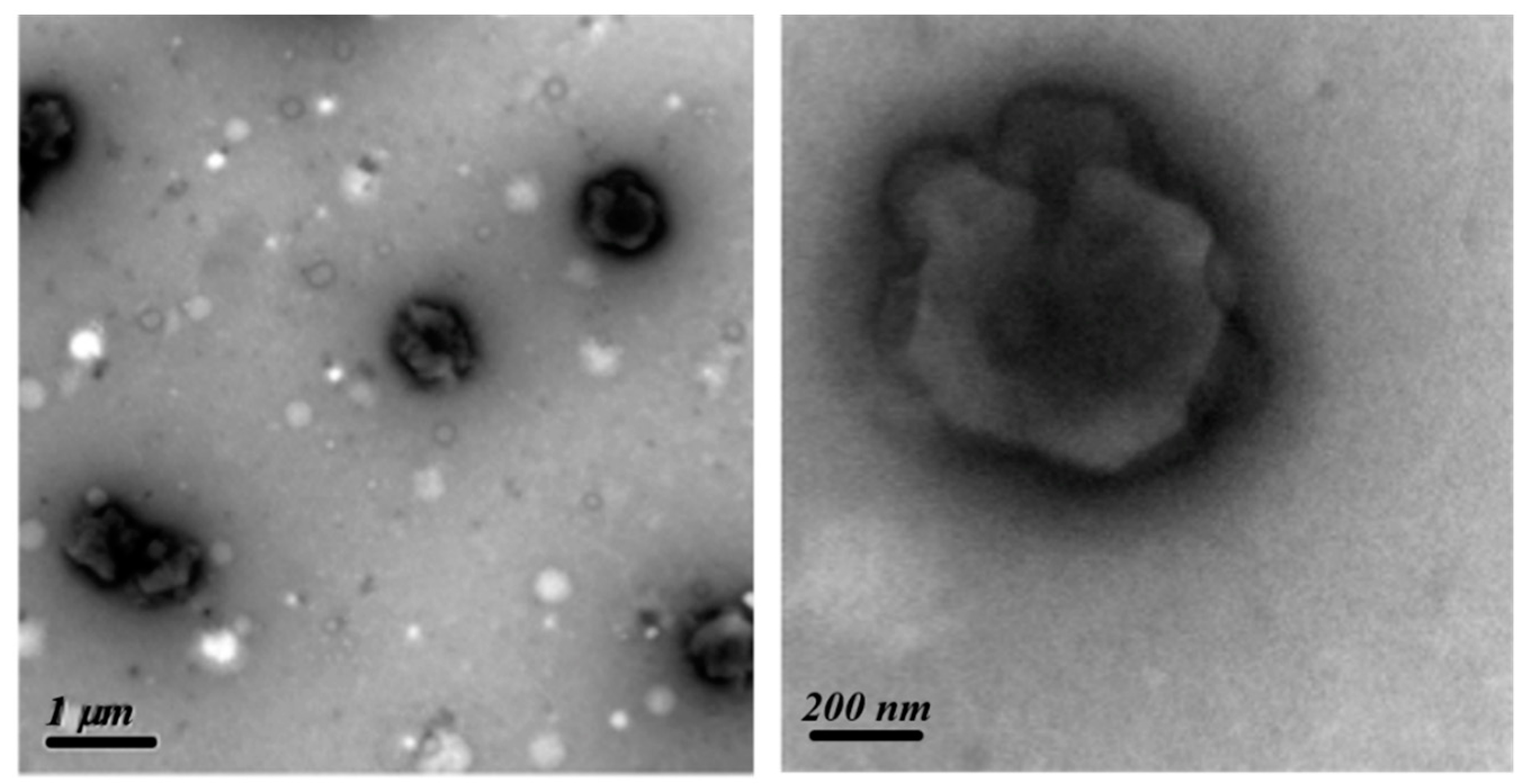 Polymers 14 00250 g007