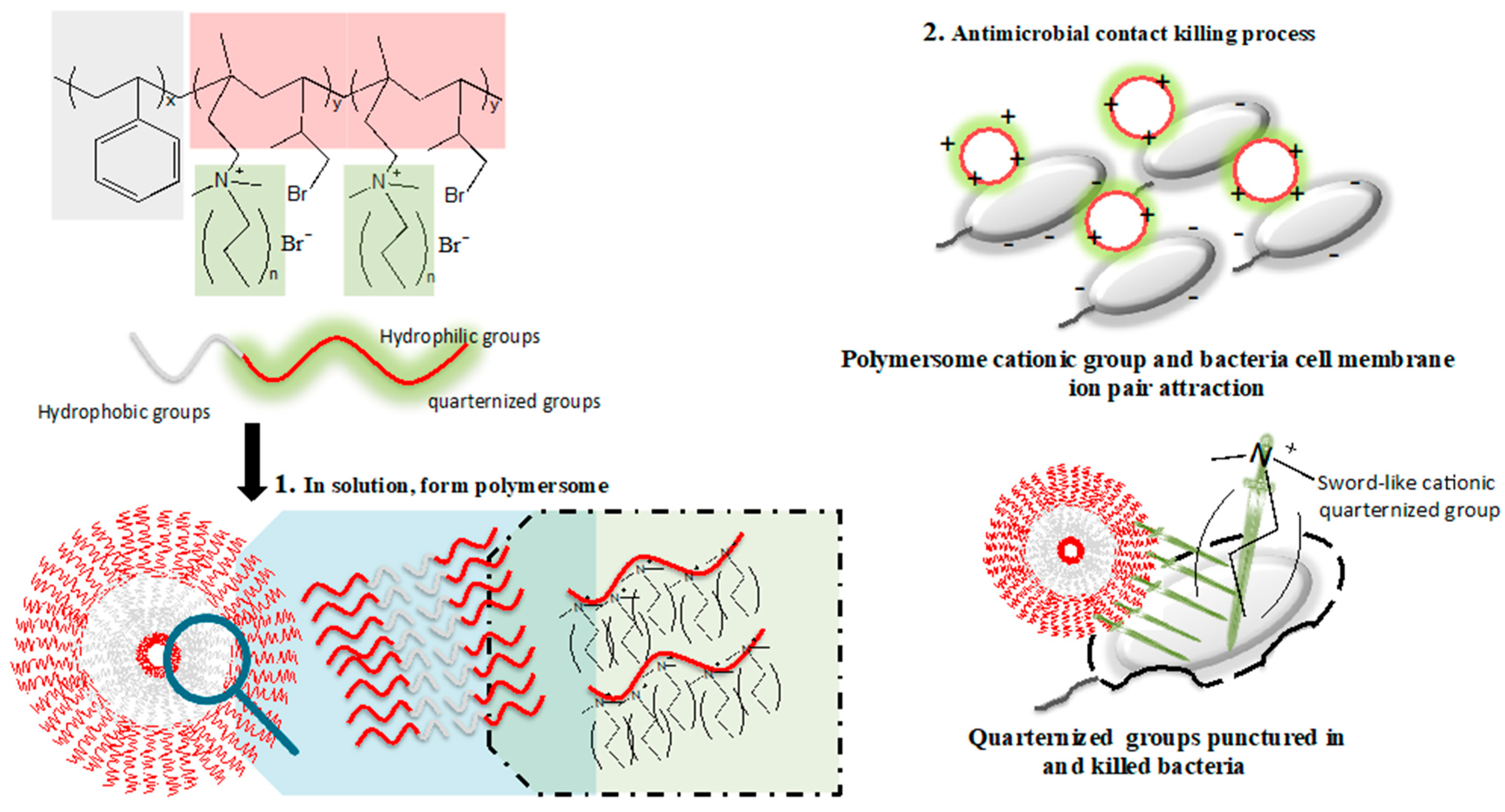 Polymers 14 00250 g008