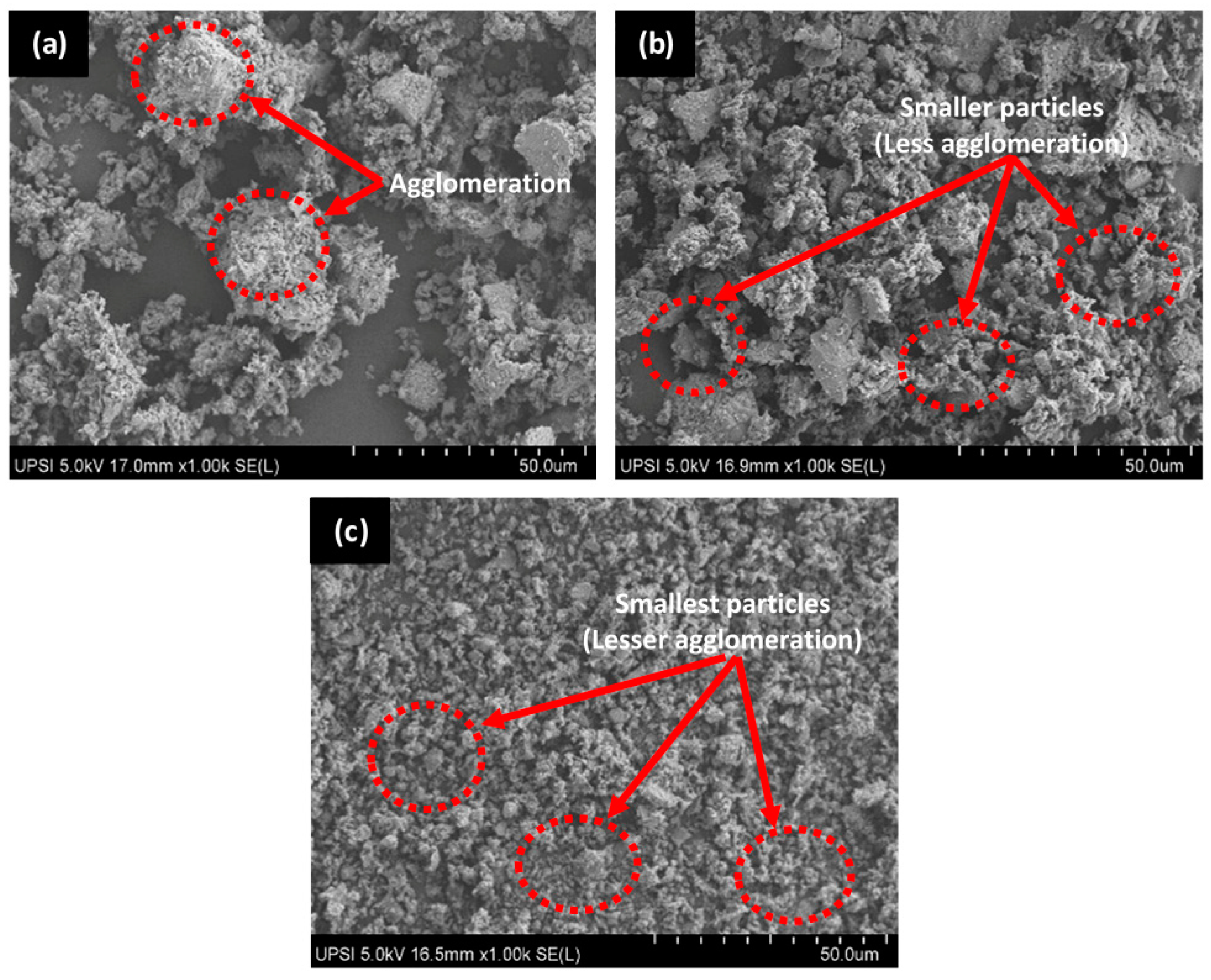 Polymers 14 00251 g001