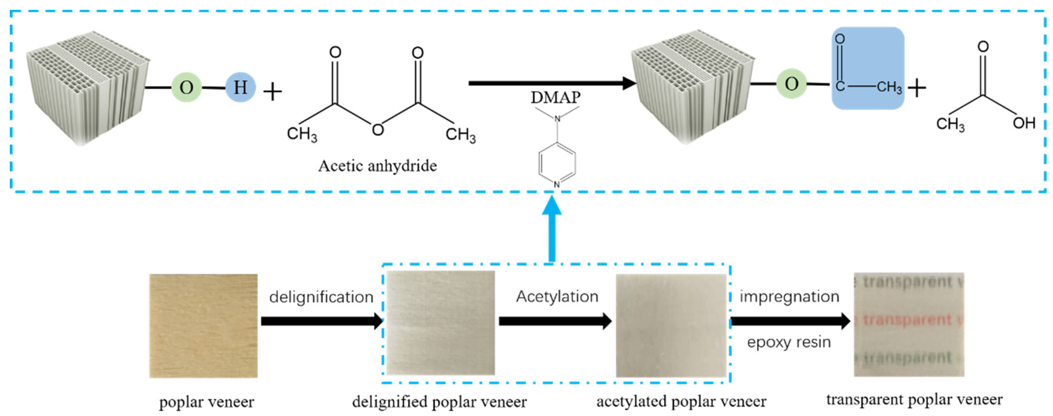 Polymers 14 00257 g001 550