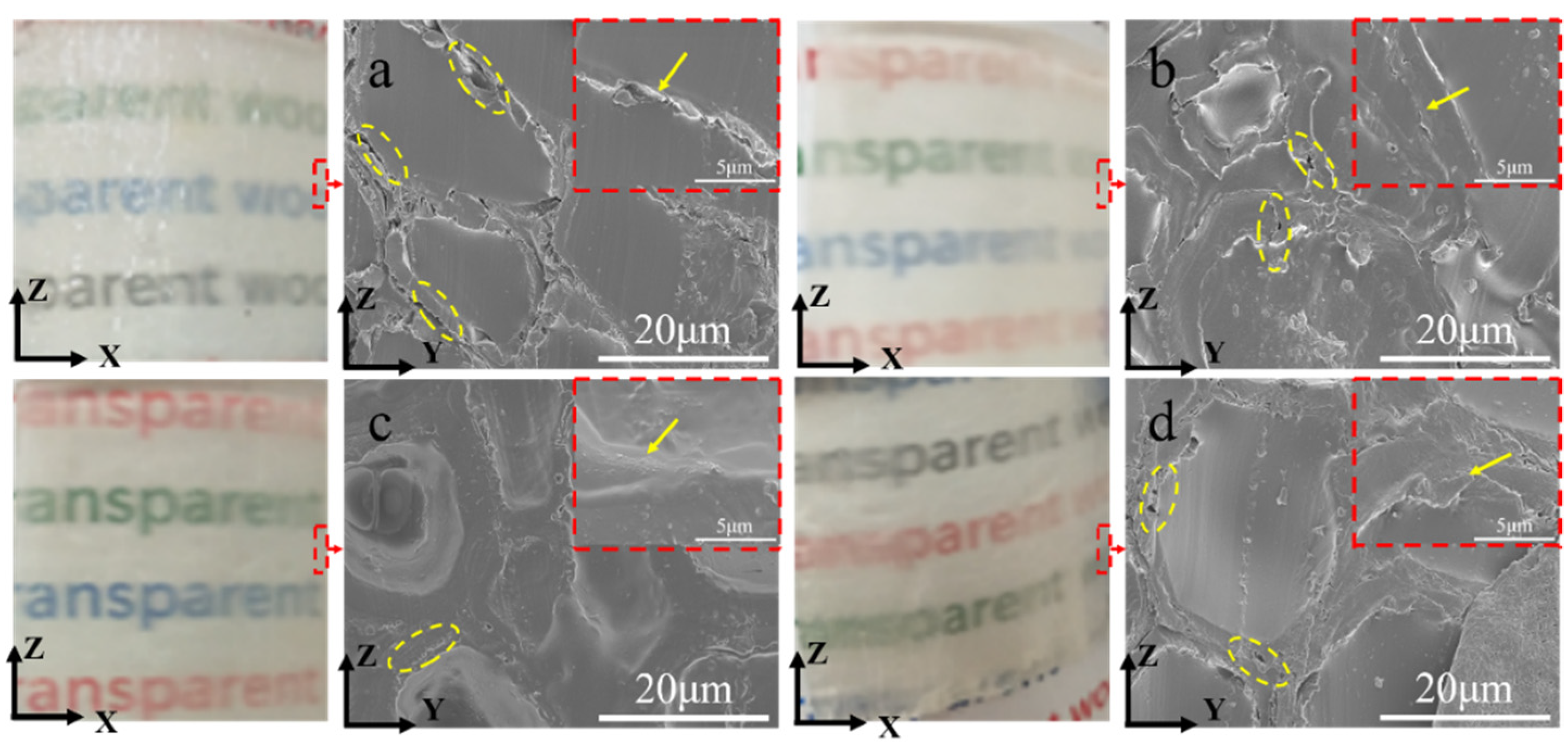 Polymers 14 00257 g003 550