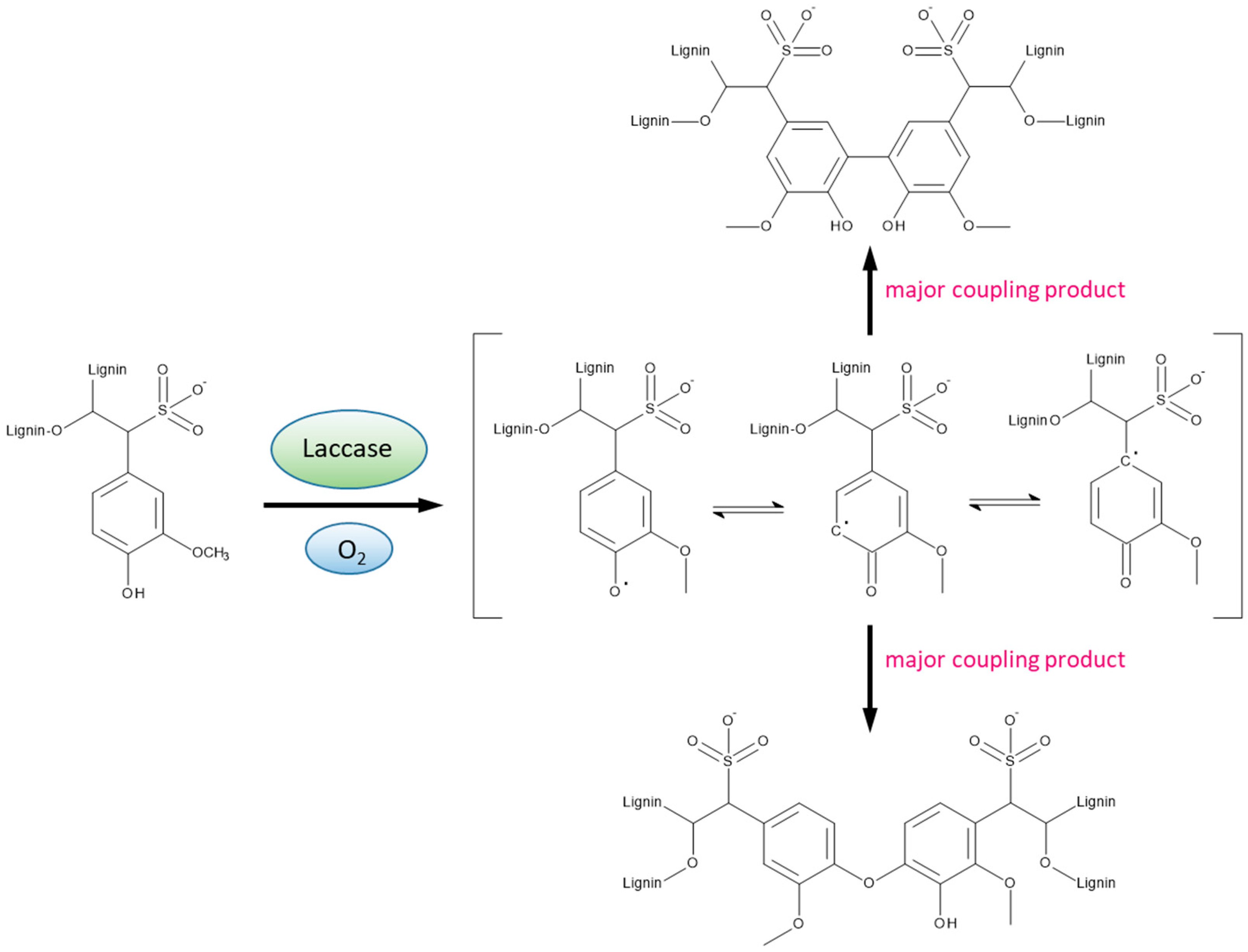 Polymers 14 00259 g001